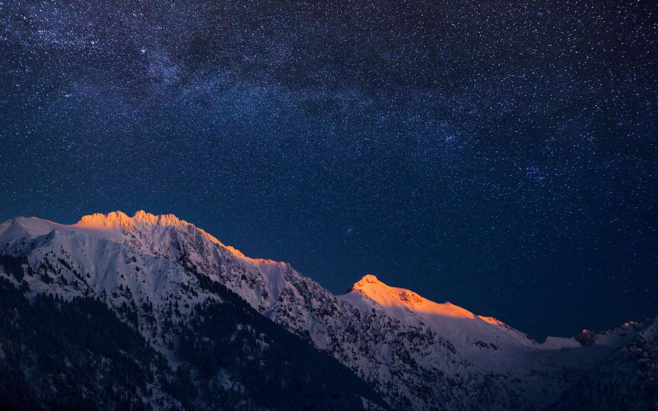mountains, nature, snow, trees, night, stars wallpaper