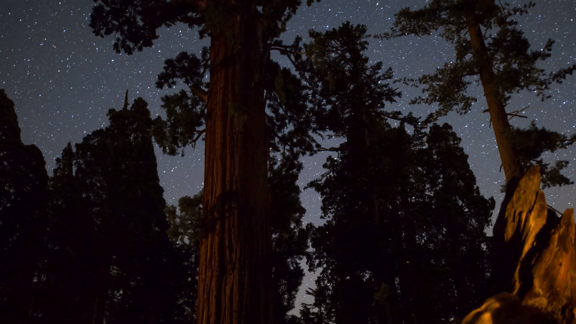 MoCo Astro Timelapse Tracking Shot of Stars over Grant Grove