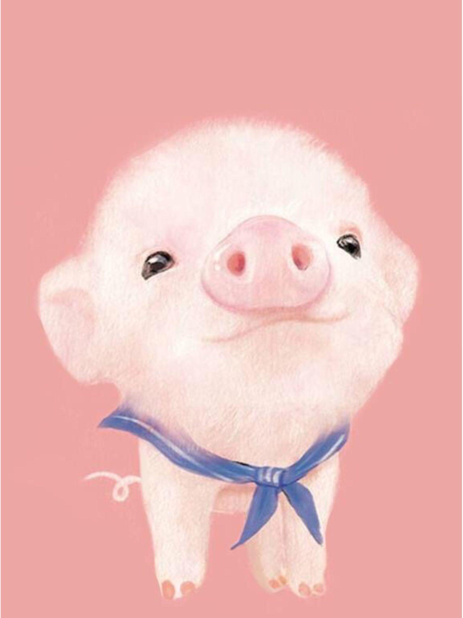 Pig wallpaper, Pig illustration, Cute pigs.com
