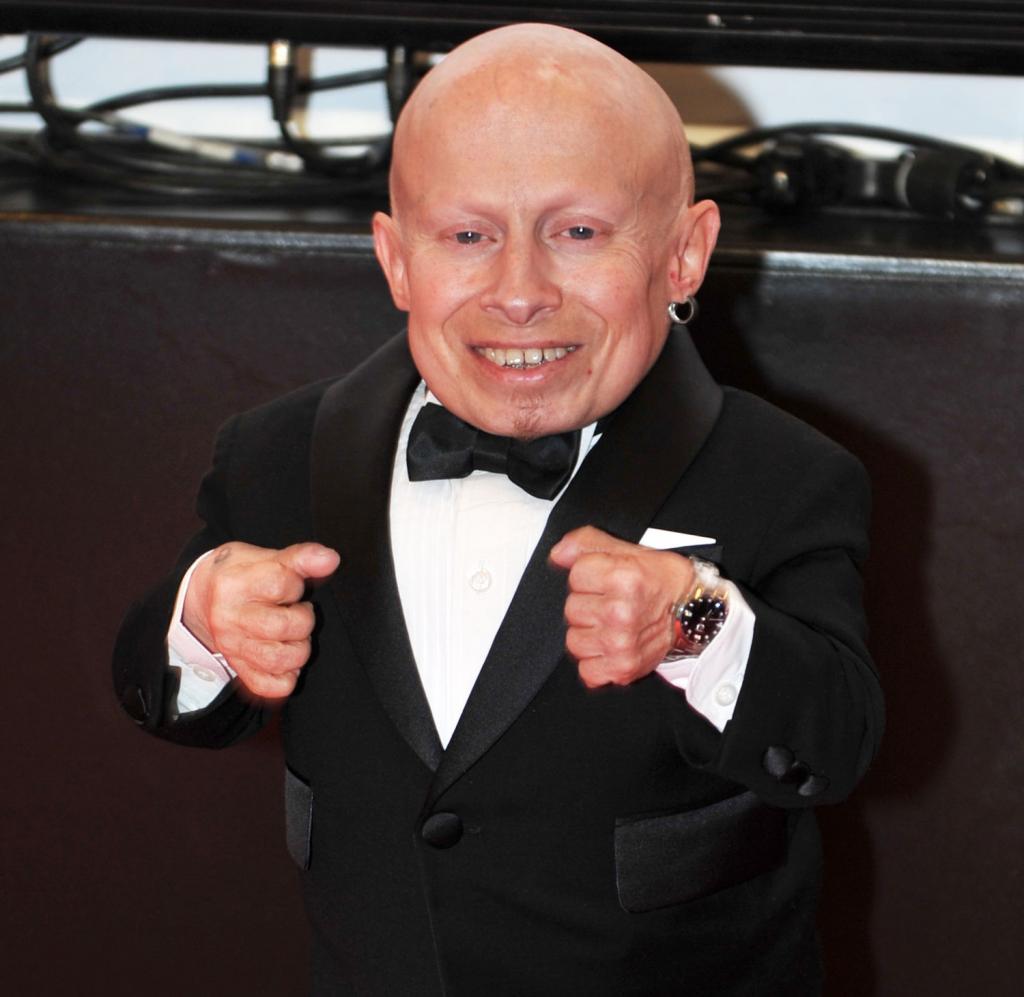 Picture of Verne Troyer, Picture Of Celebrities