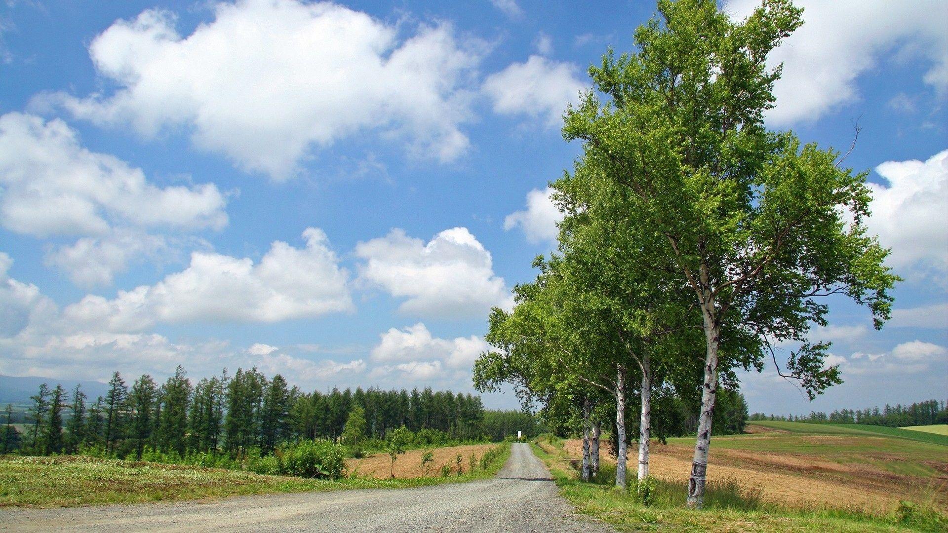 Rural road in hokkaido japan wallpaper