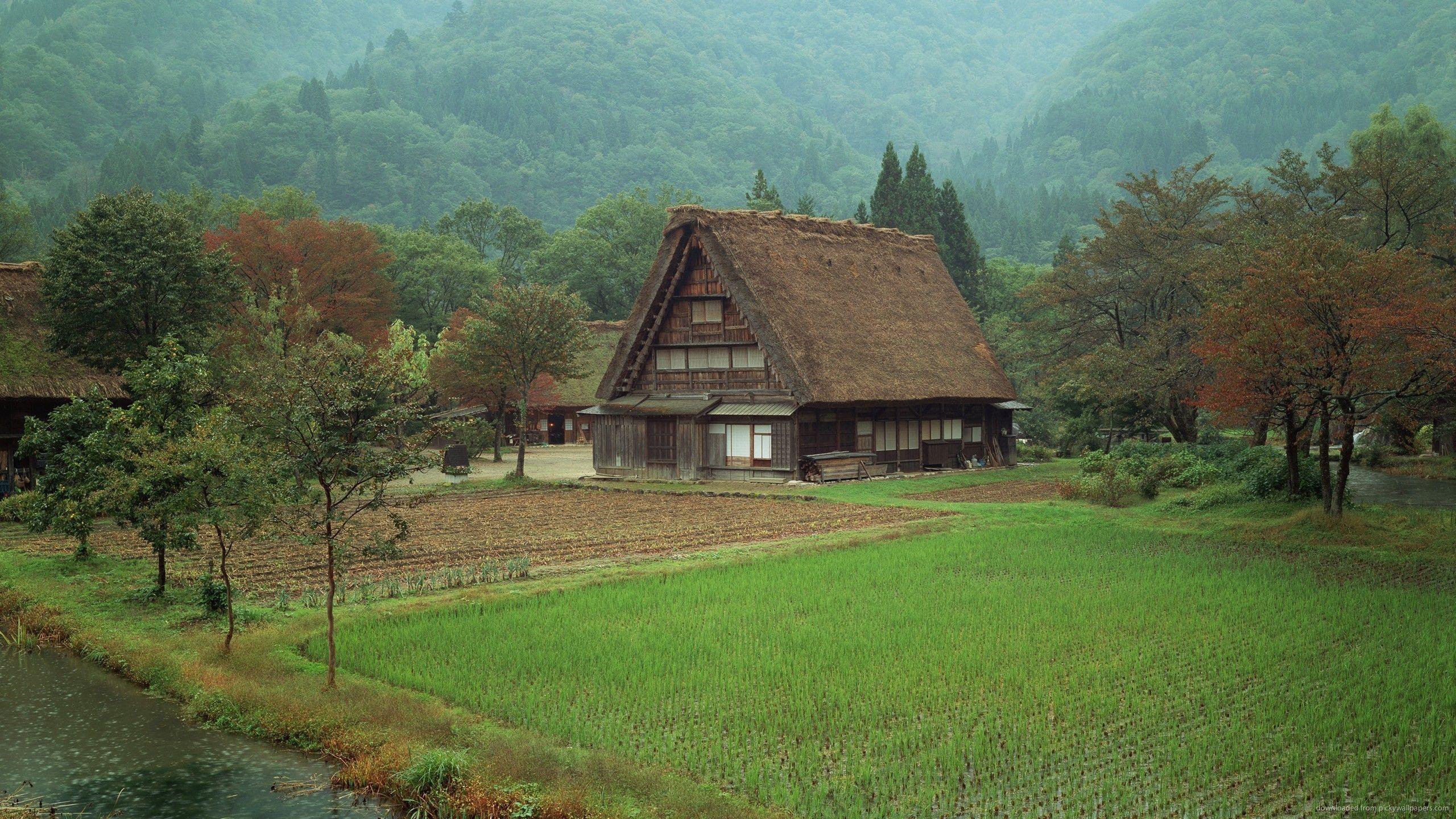 Somewhere in rural Japan unknown 2560 x 1440