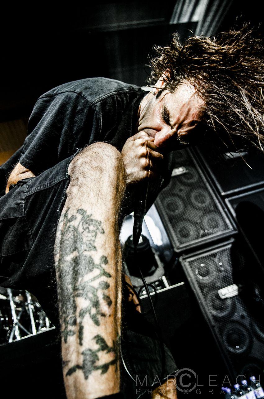 lamb of god