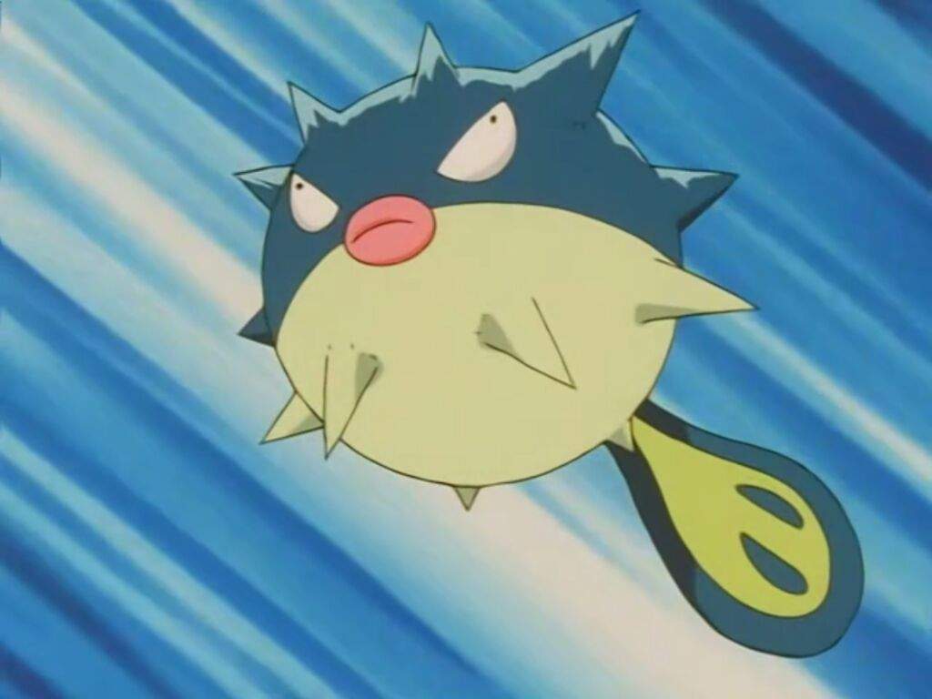 Qwilfish. Pokémon Amino