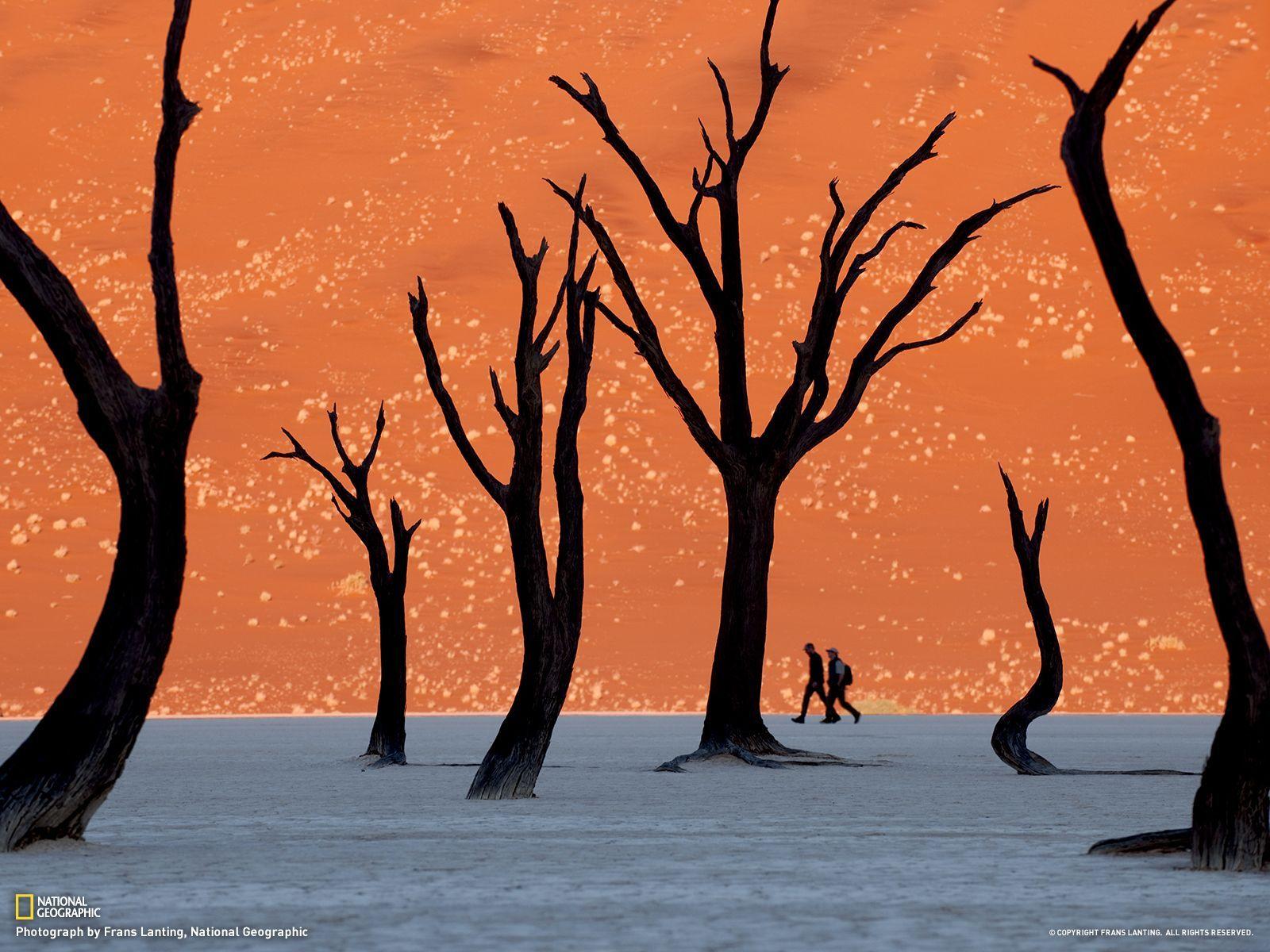 Photo Of Namib Naukluft National Park In Namibia Looks Like A