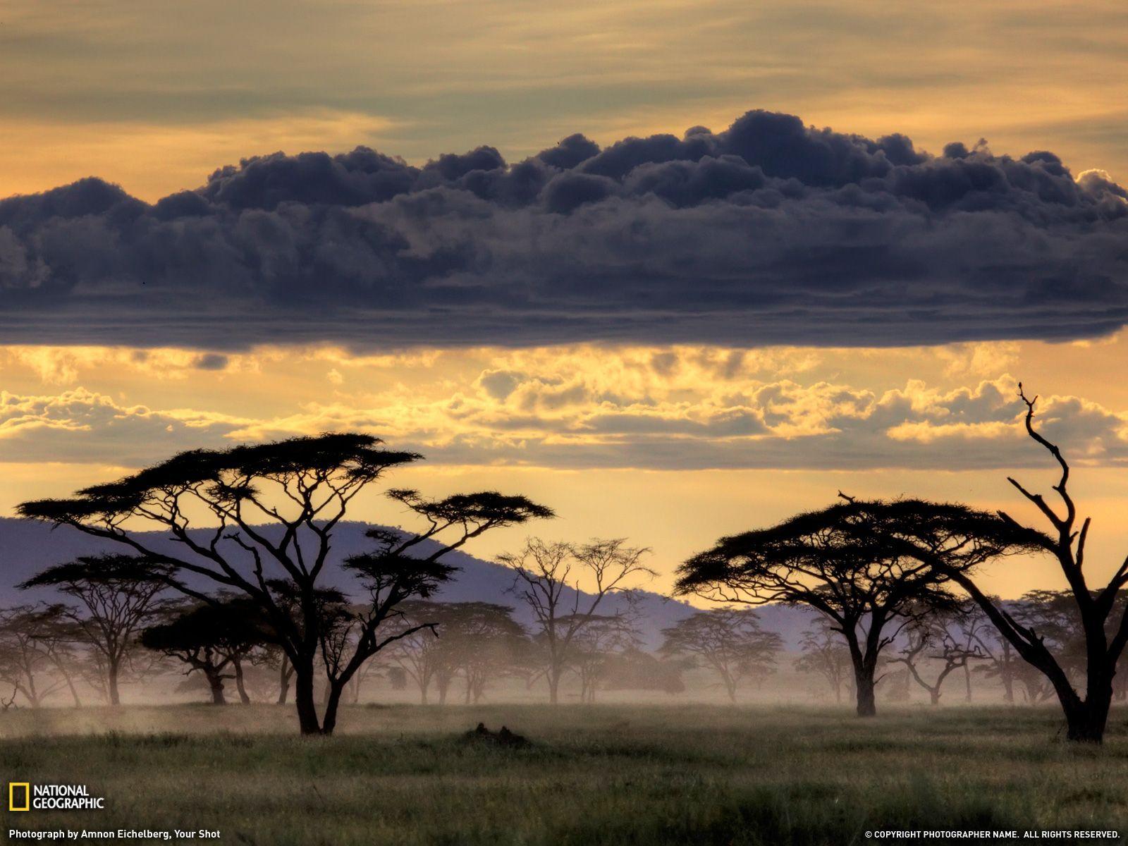Photo of the Day. Serengeti national park, Tanzania and National