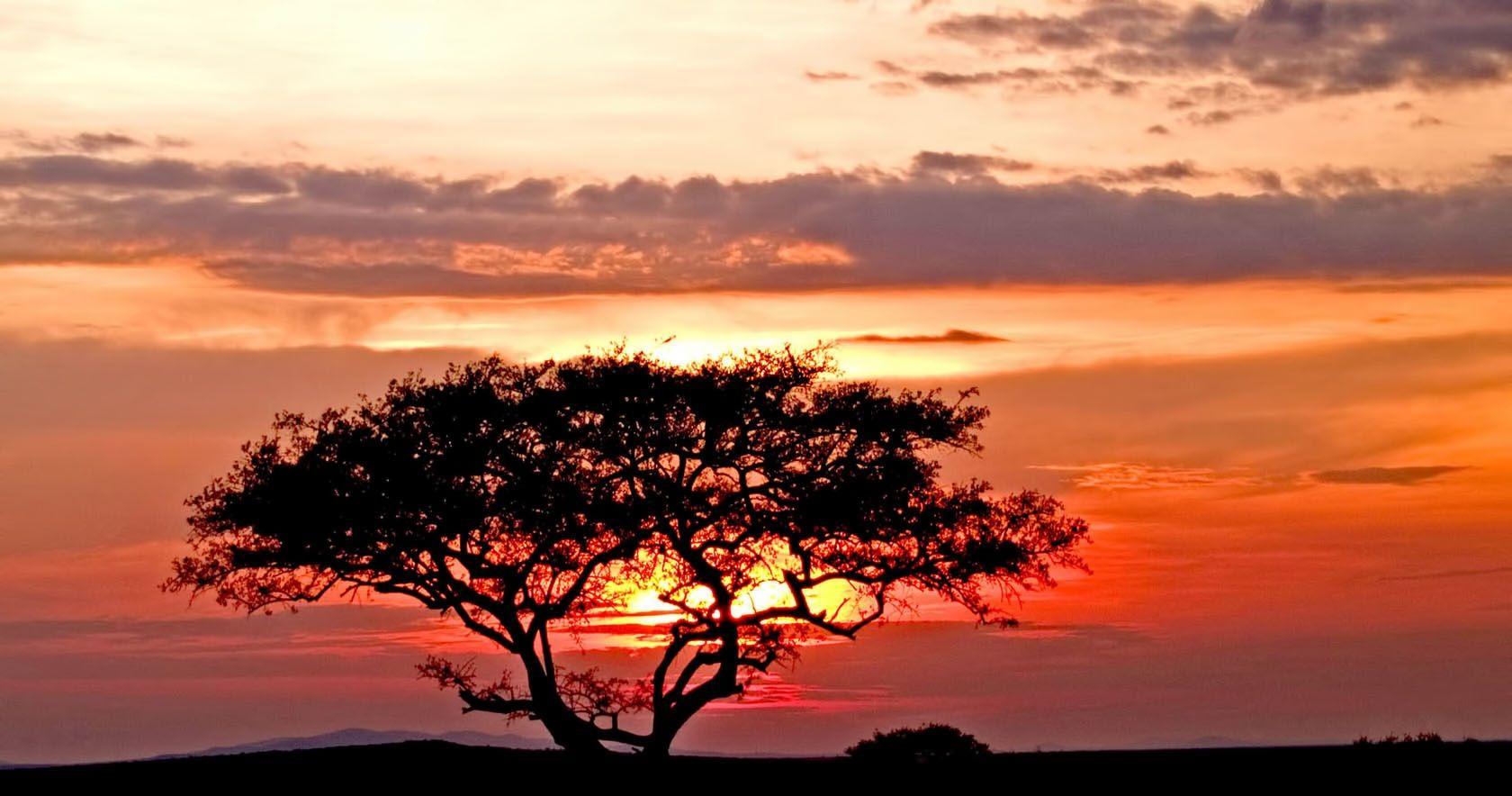 Sunset in the Serengeti!