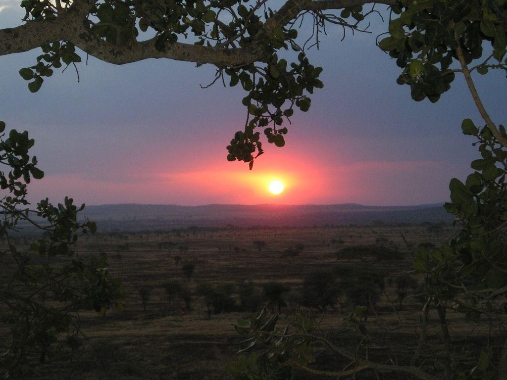 Kruger National Park Wallpapers - Wallpaper Cave