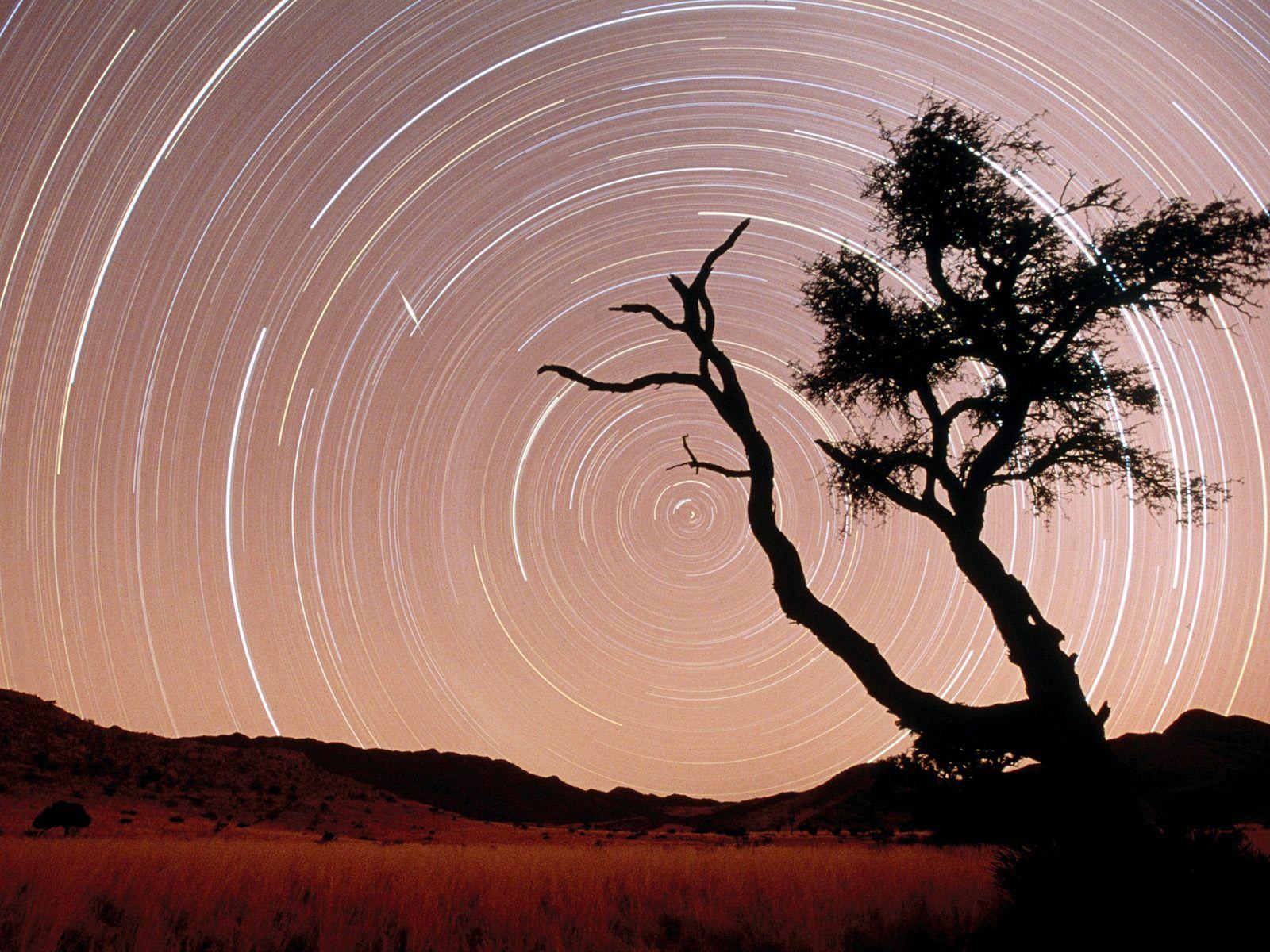 Star Trails / Namib Naukluft Park / Namib Desert / Namibia