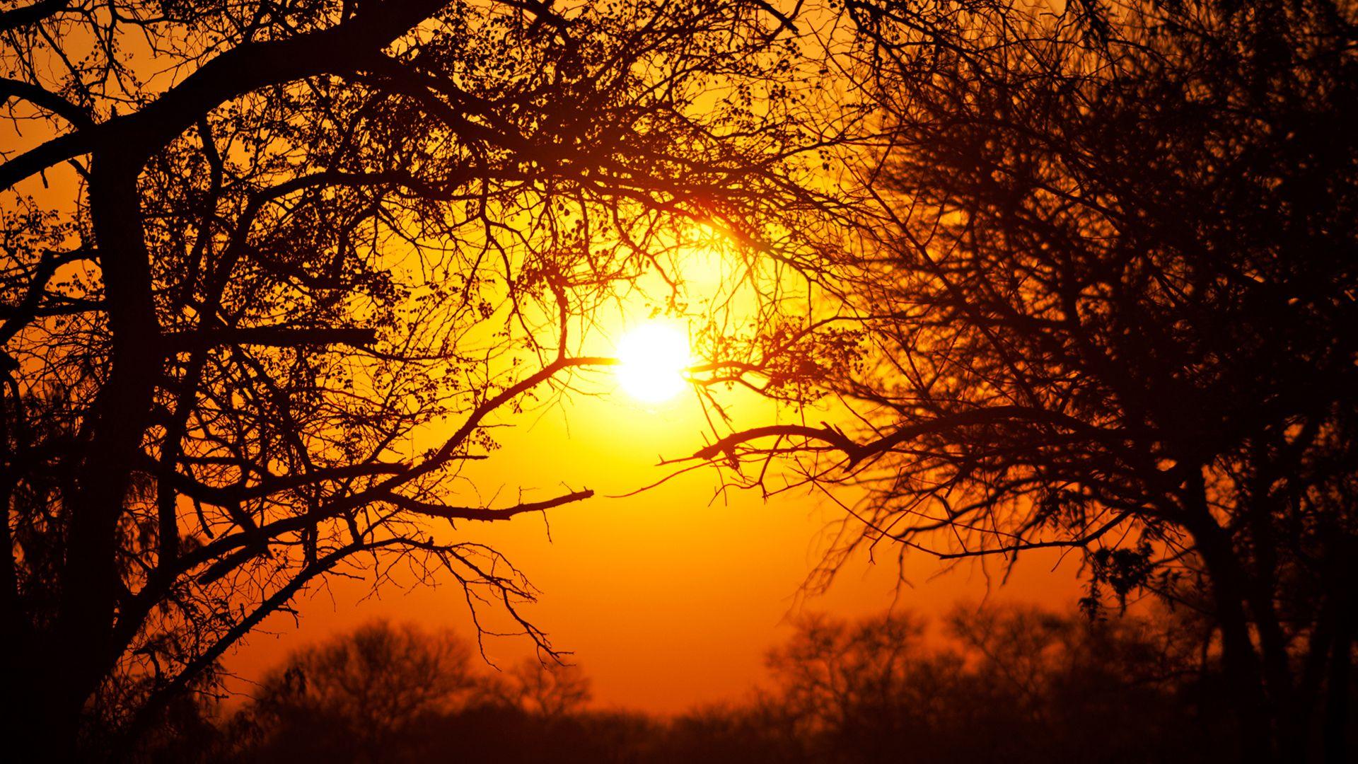 Kruger National Park Wallpapers Wallpaper Cave