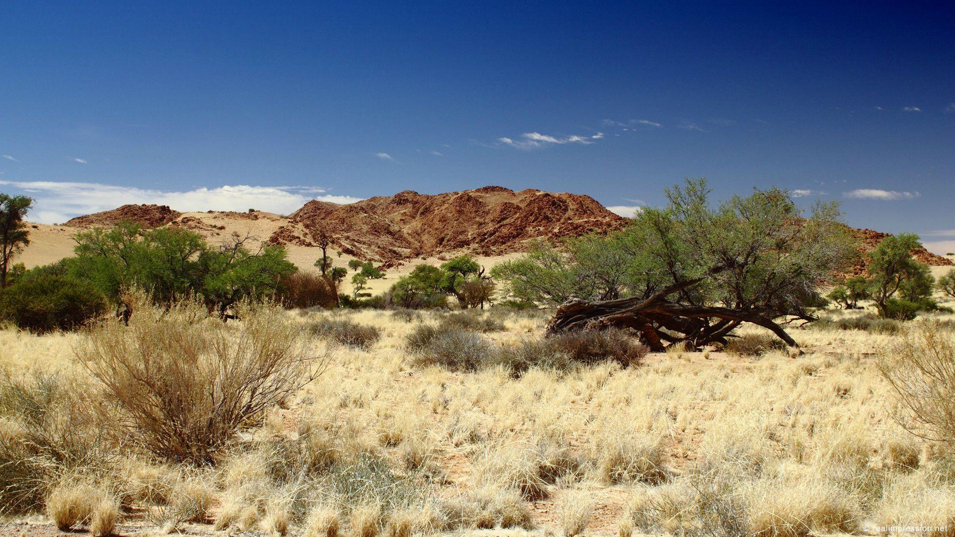 Naukluft National Park