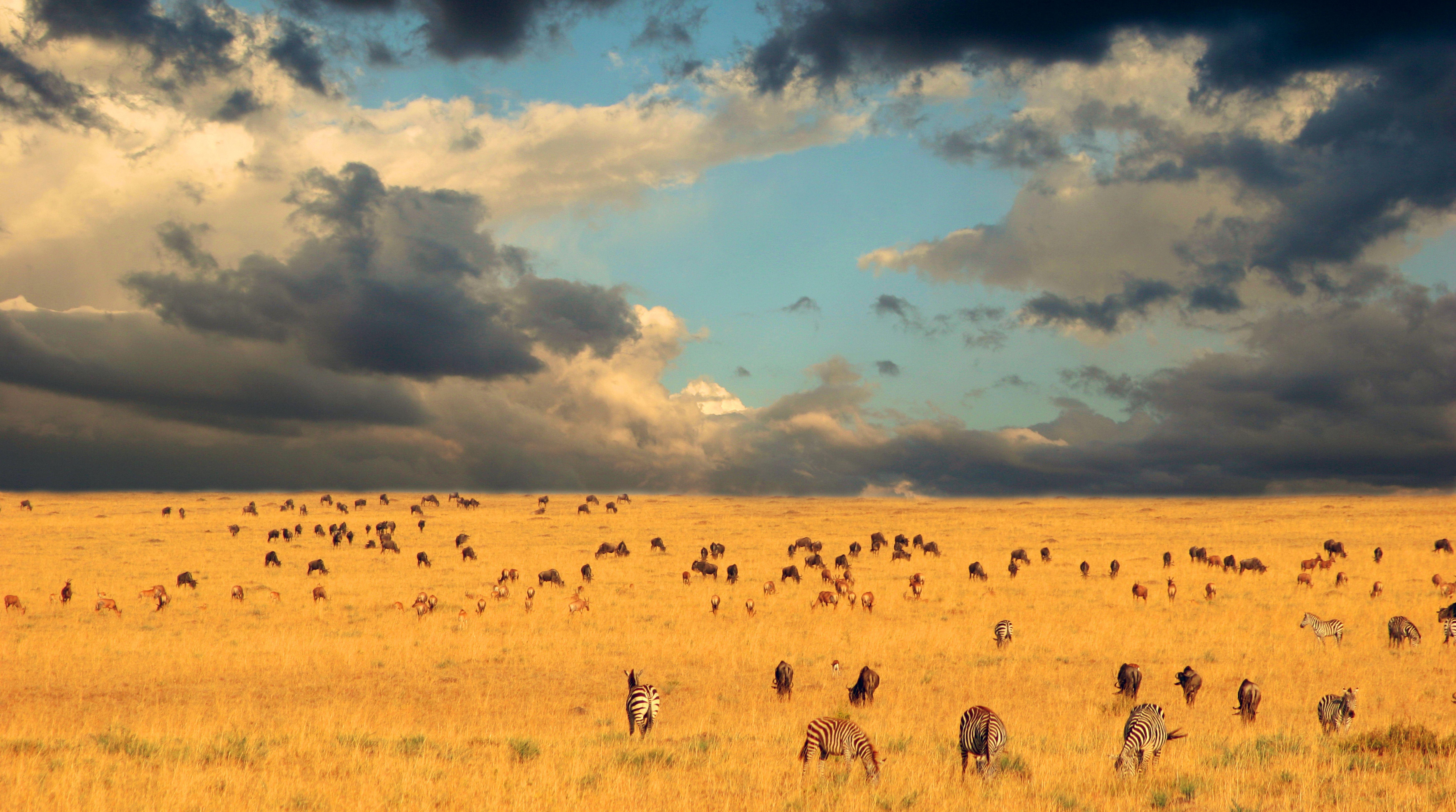 Serengeti National Park, Kenya