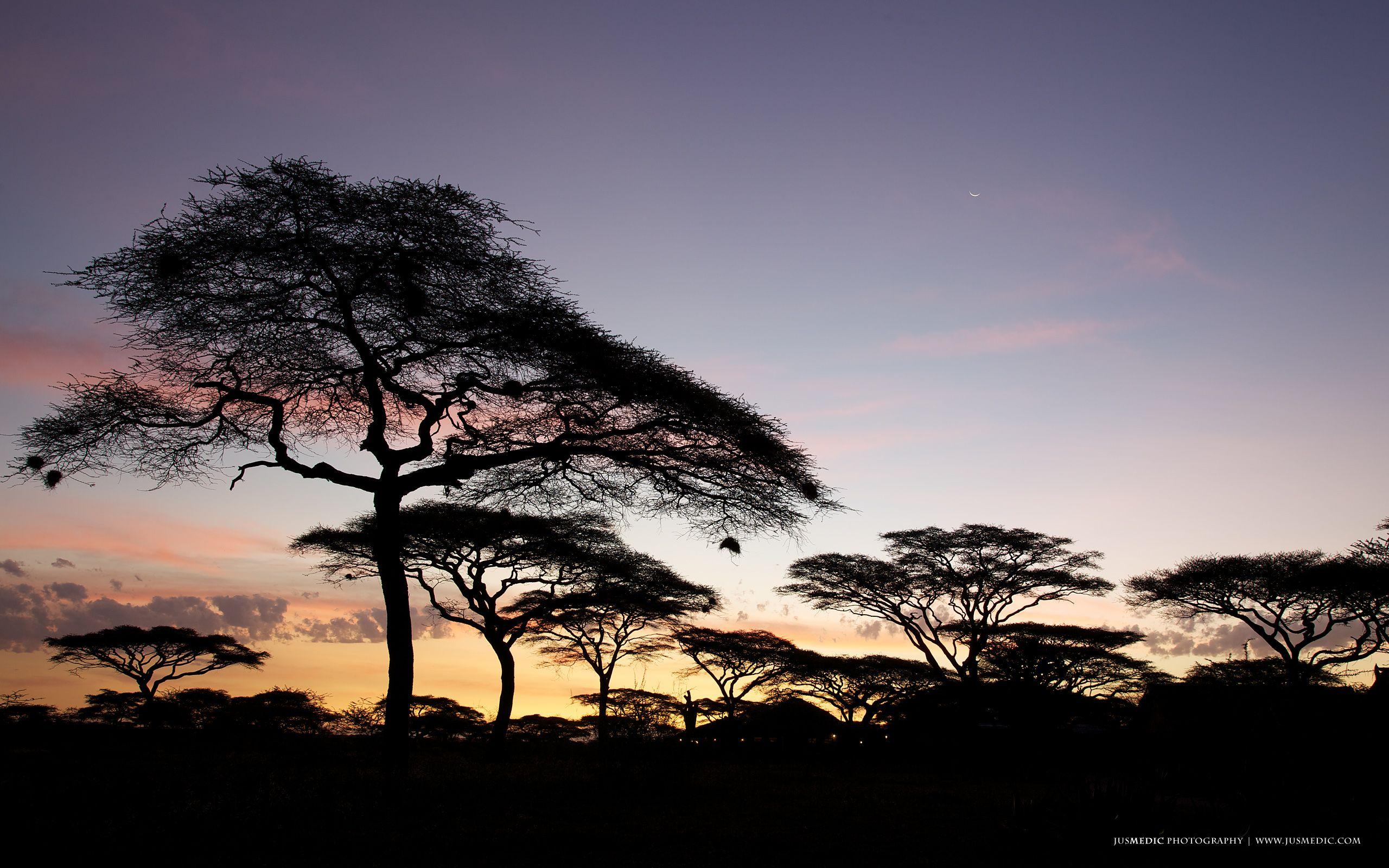Serengeti National Park Park in Tanzania