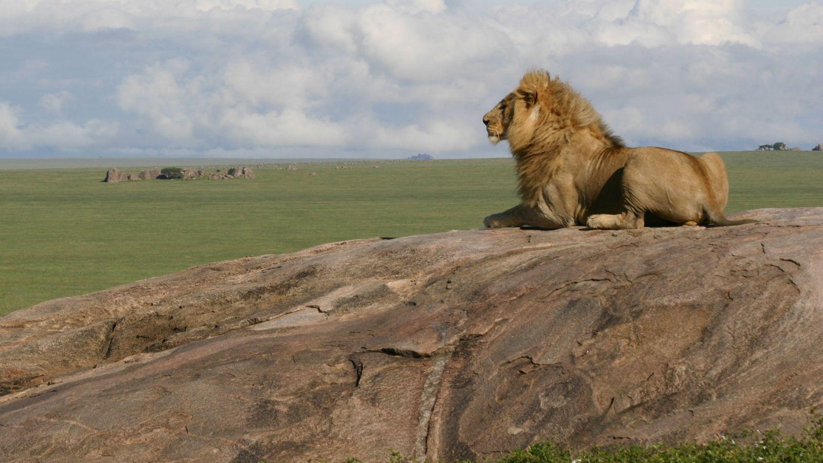 Serengeti National Park to the Wildlife Park In The World