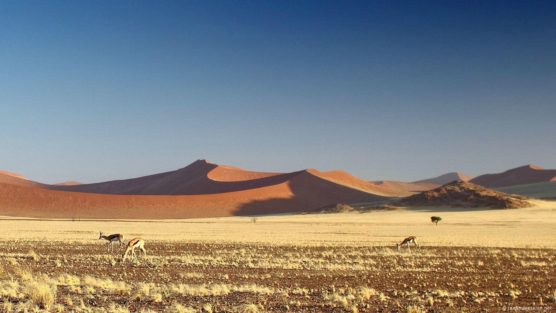 Naukluft National Park