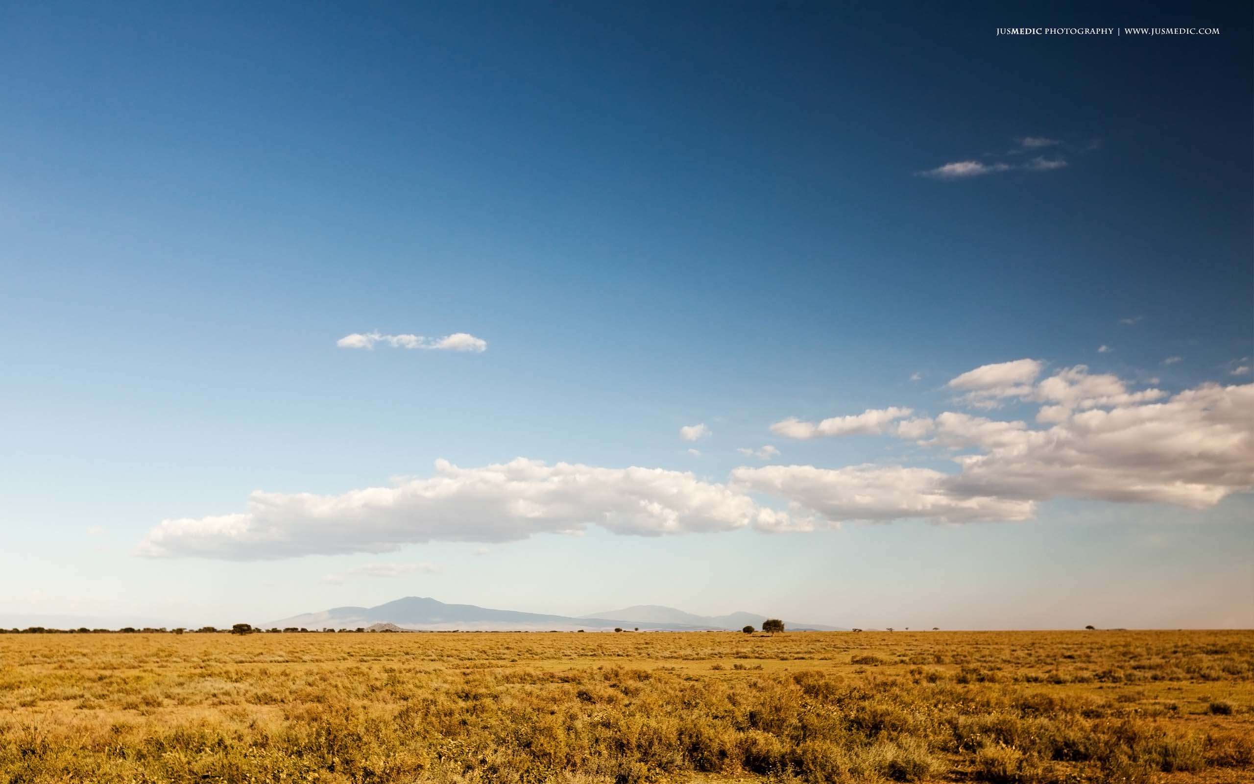 Serengeti National Park Tanzania Wallpaper Best Collection