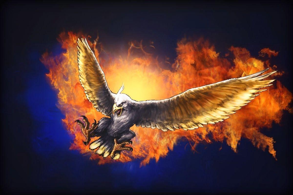 Fire Eagle