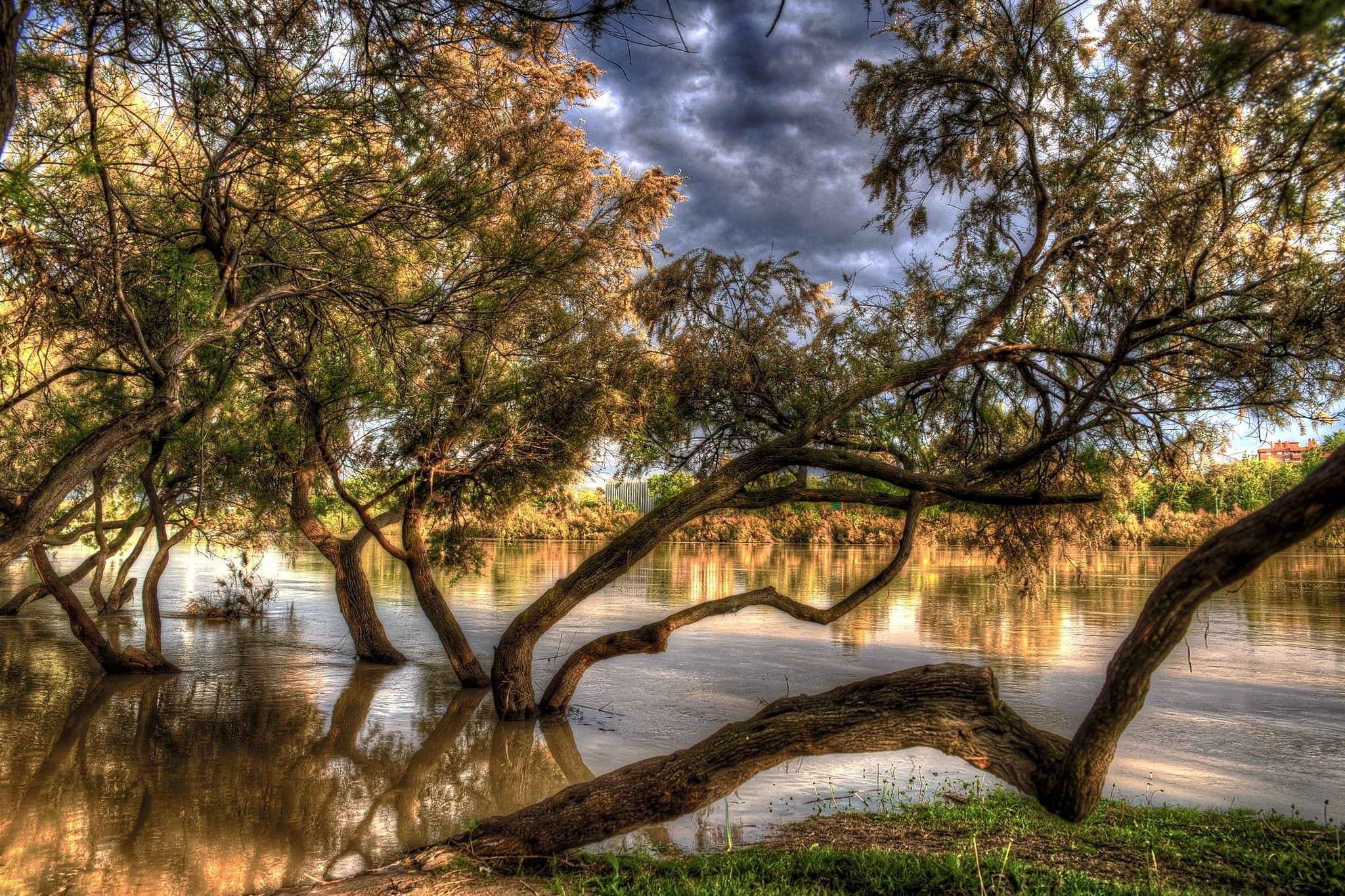 Rivers: Autumn Nature Aragon Trees Rivers Zaragoza Spain Picture