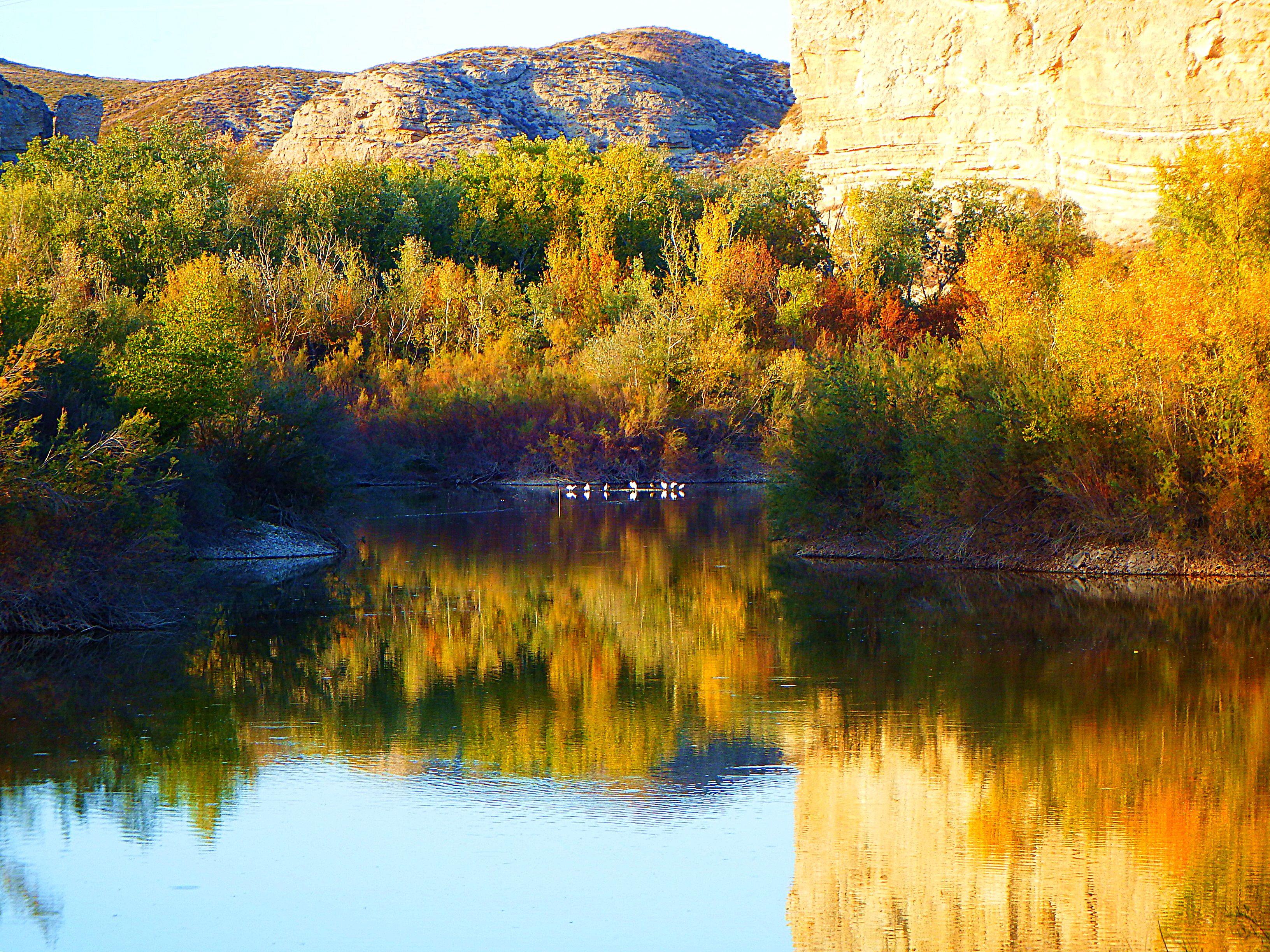 Wallpaper, espana, Spain, zaragoza, aragon, otono, juslibol