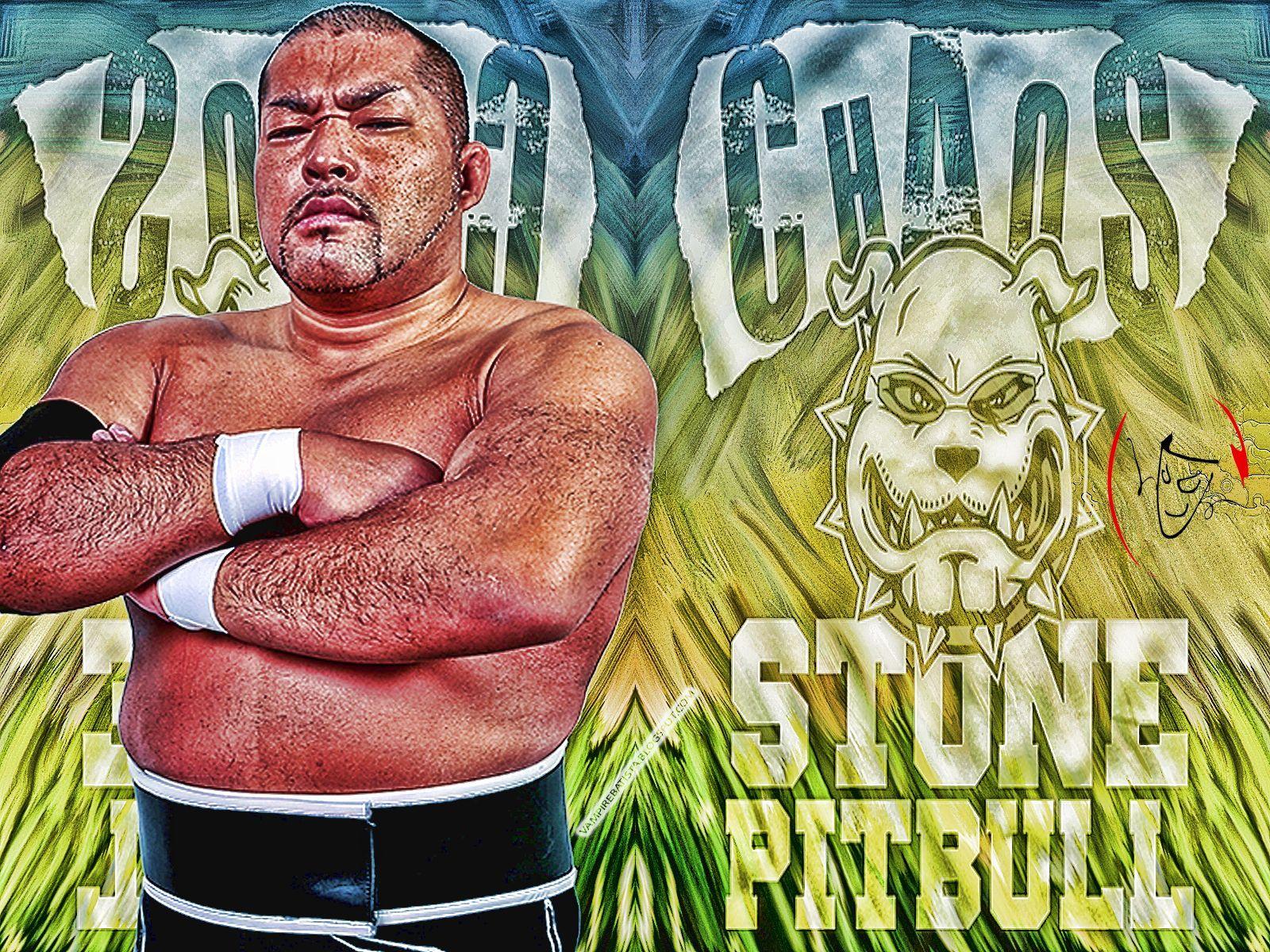 NJPW Tomohiro Ishii Stone PitBull Chaos. WWE & IMPACT TNA