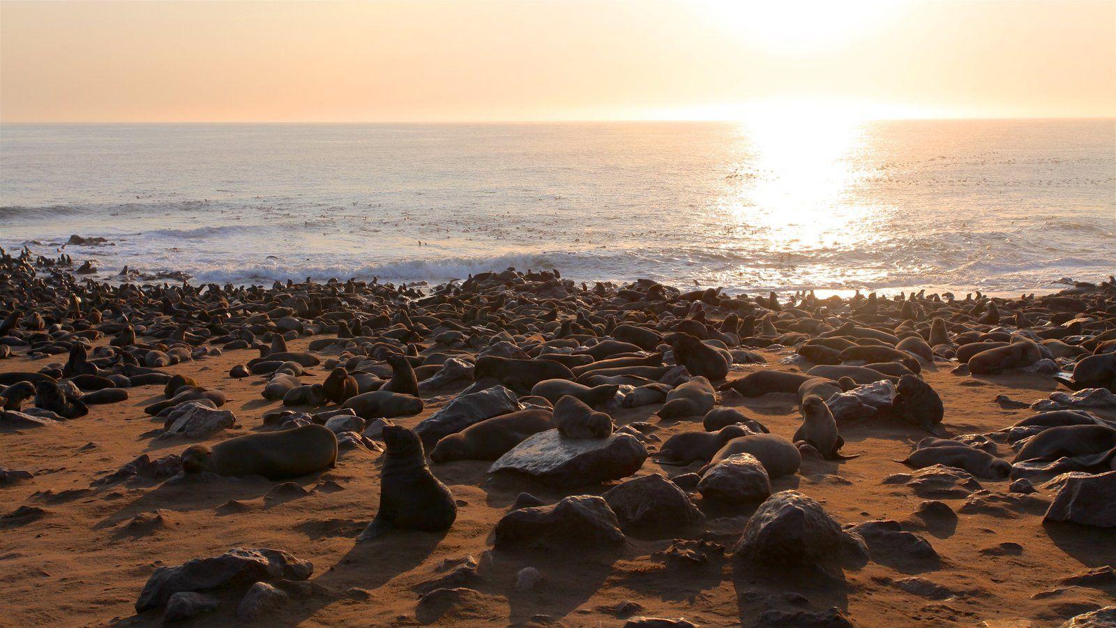 Skeleton Coast National Park Picture: View Photo & Image