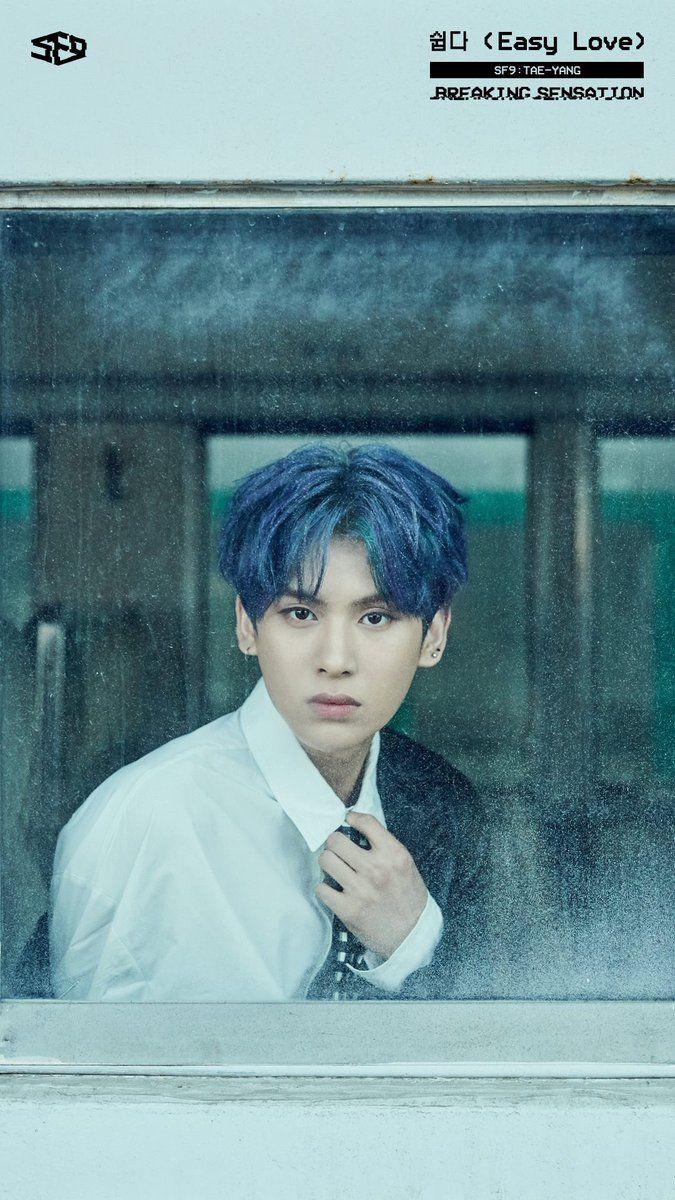 SF9 NATION - [PHOTO] #SF9 Breaking Sensation Phone