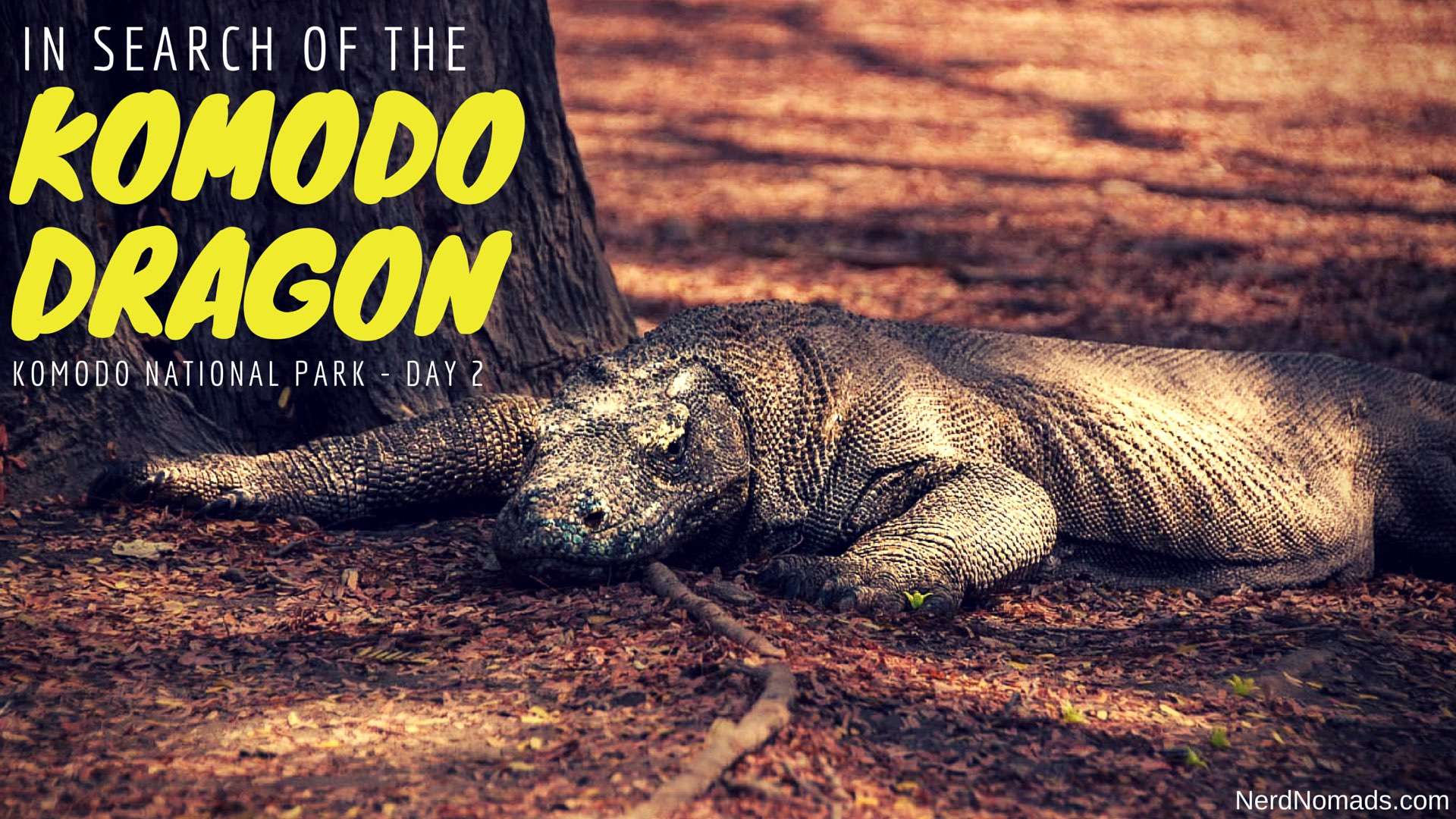 In Search Of The Komodo Dragon
