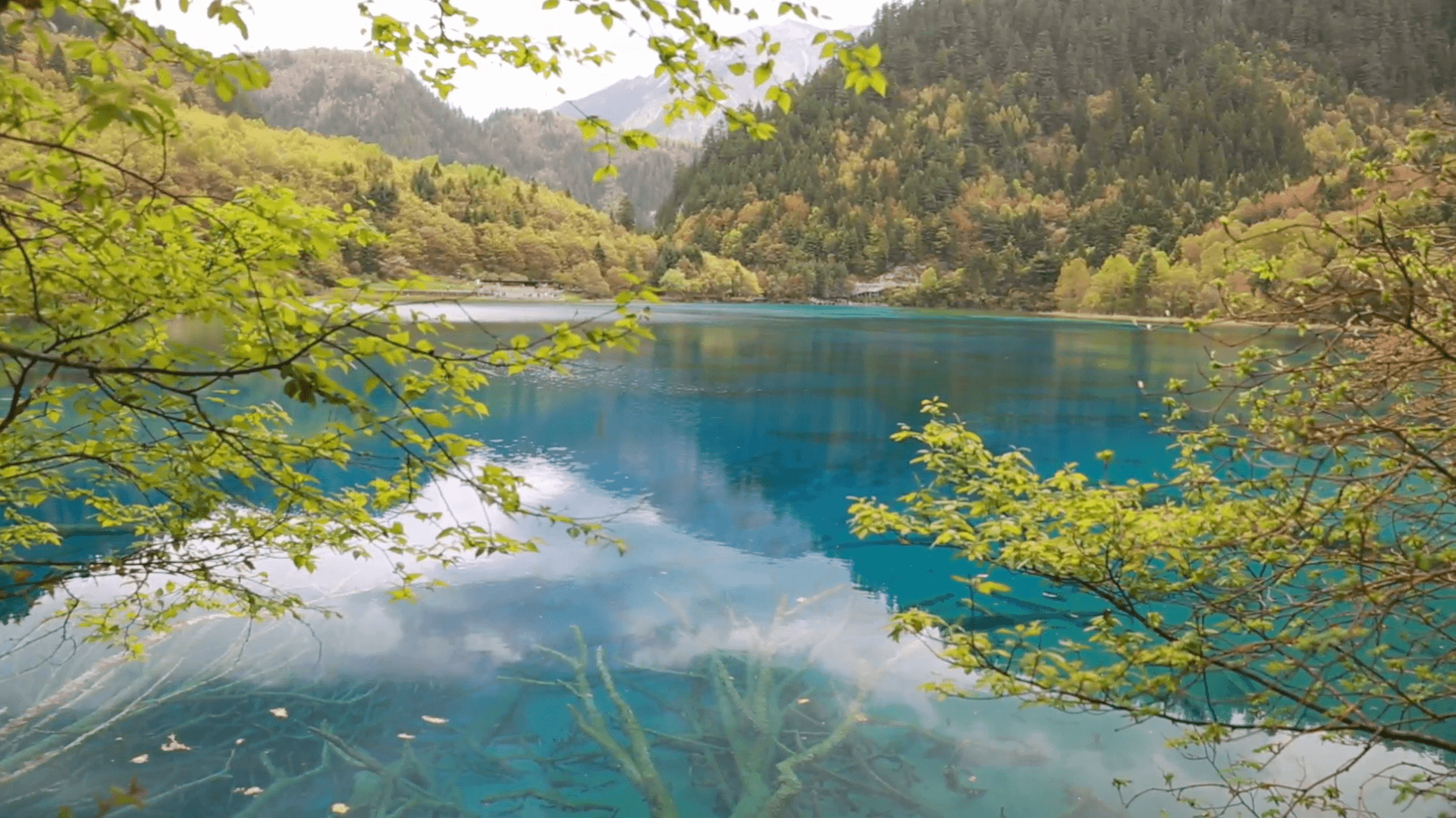 blue water lake in jiuzhaigou valley national park in china dolly