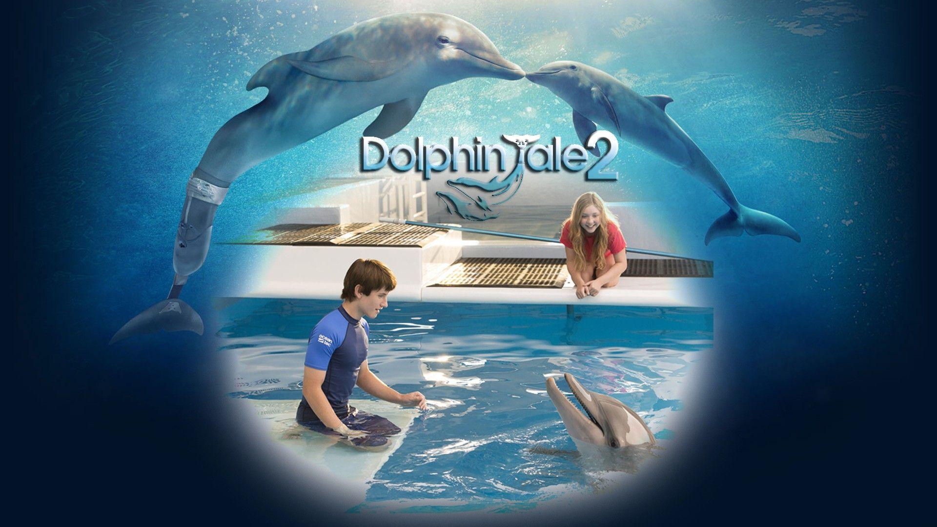 Dolphin Tale 2 Wallpaper Tale!. Dolphin Tail 1 2