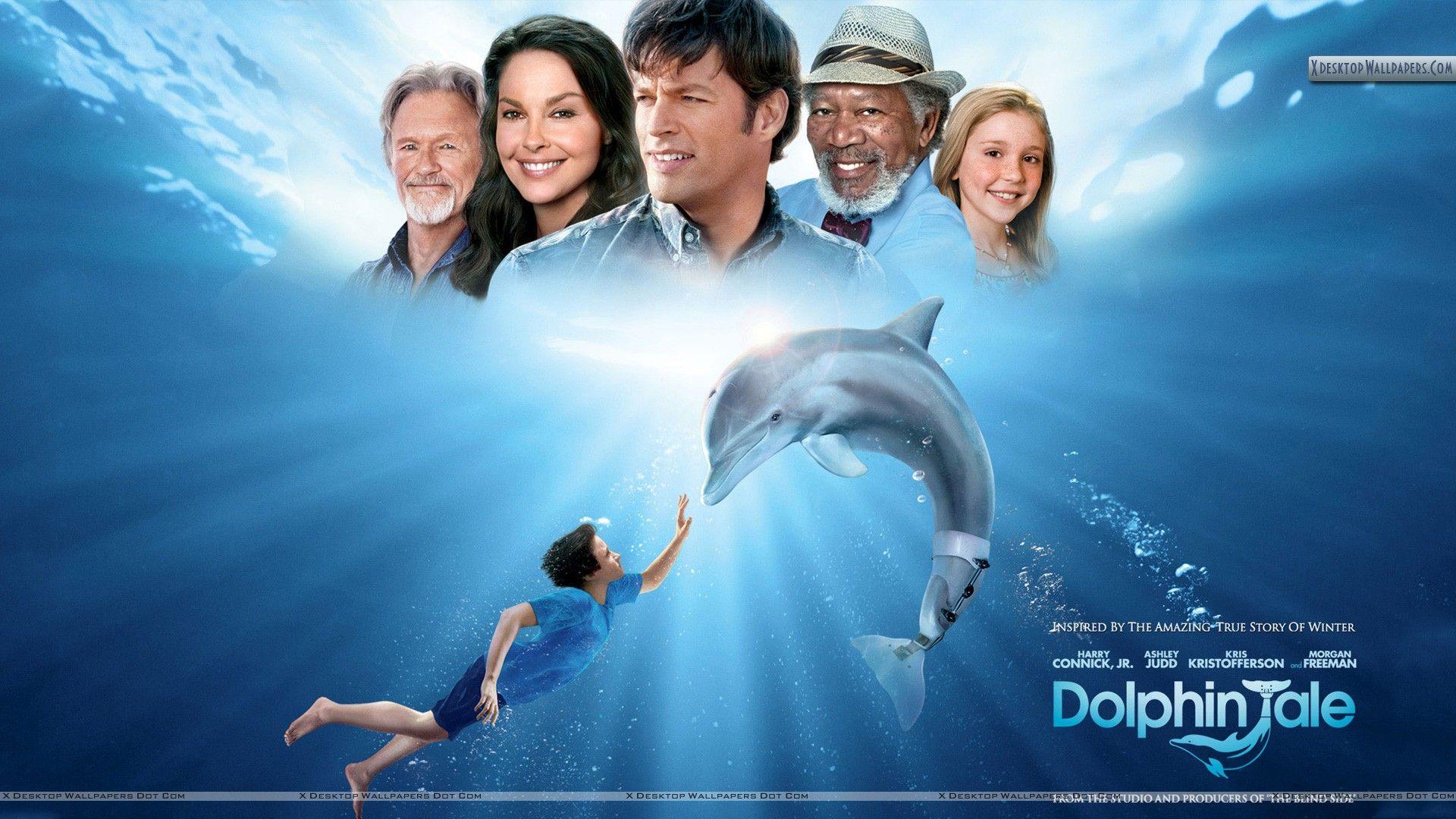 Dolphin Tale Movie Cover Poster Wallpaper