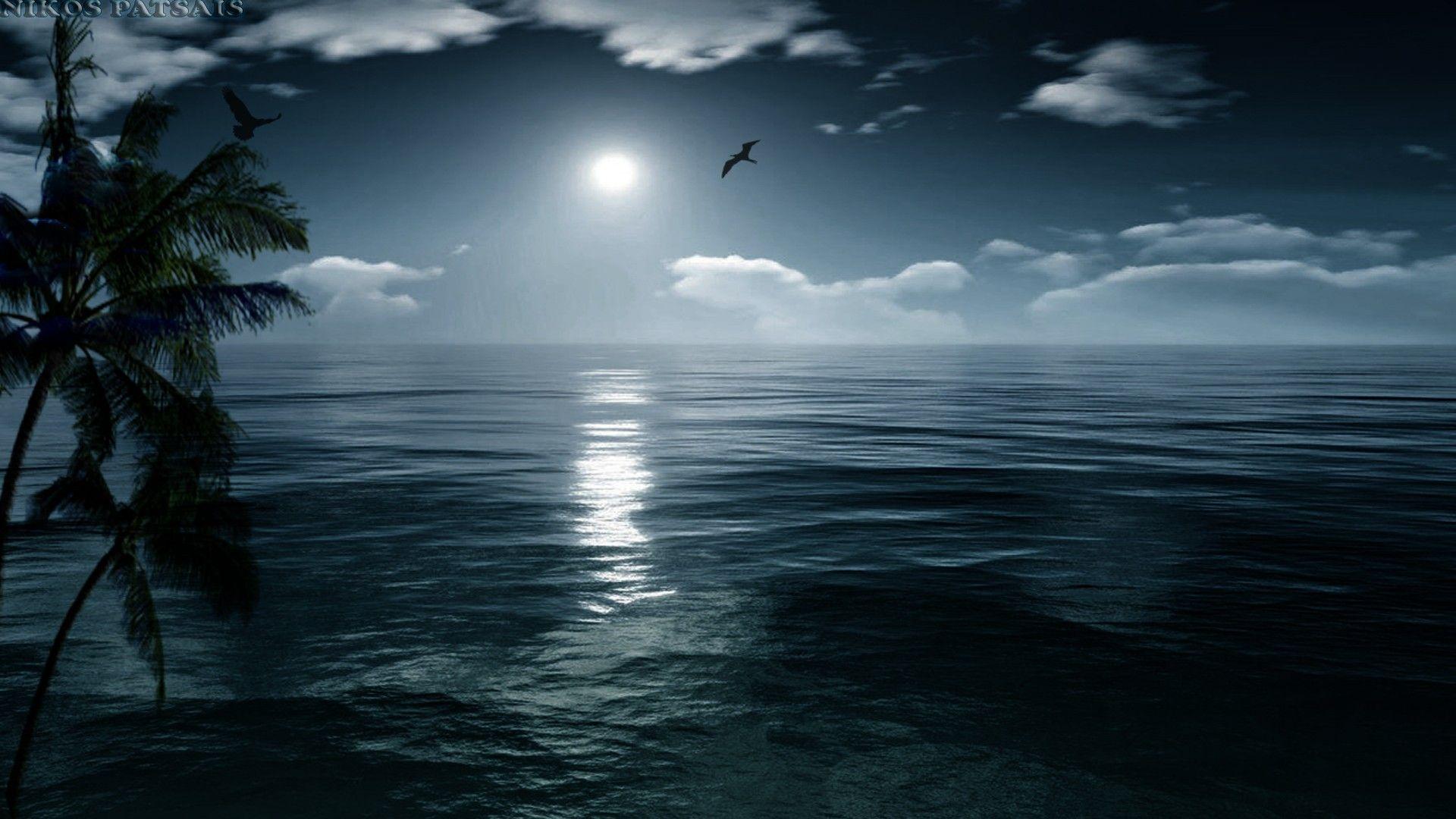 Oceans: Perfect Island Ocean Moon Nature Moonlight Night Sea