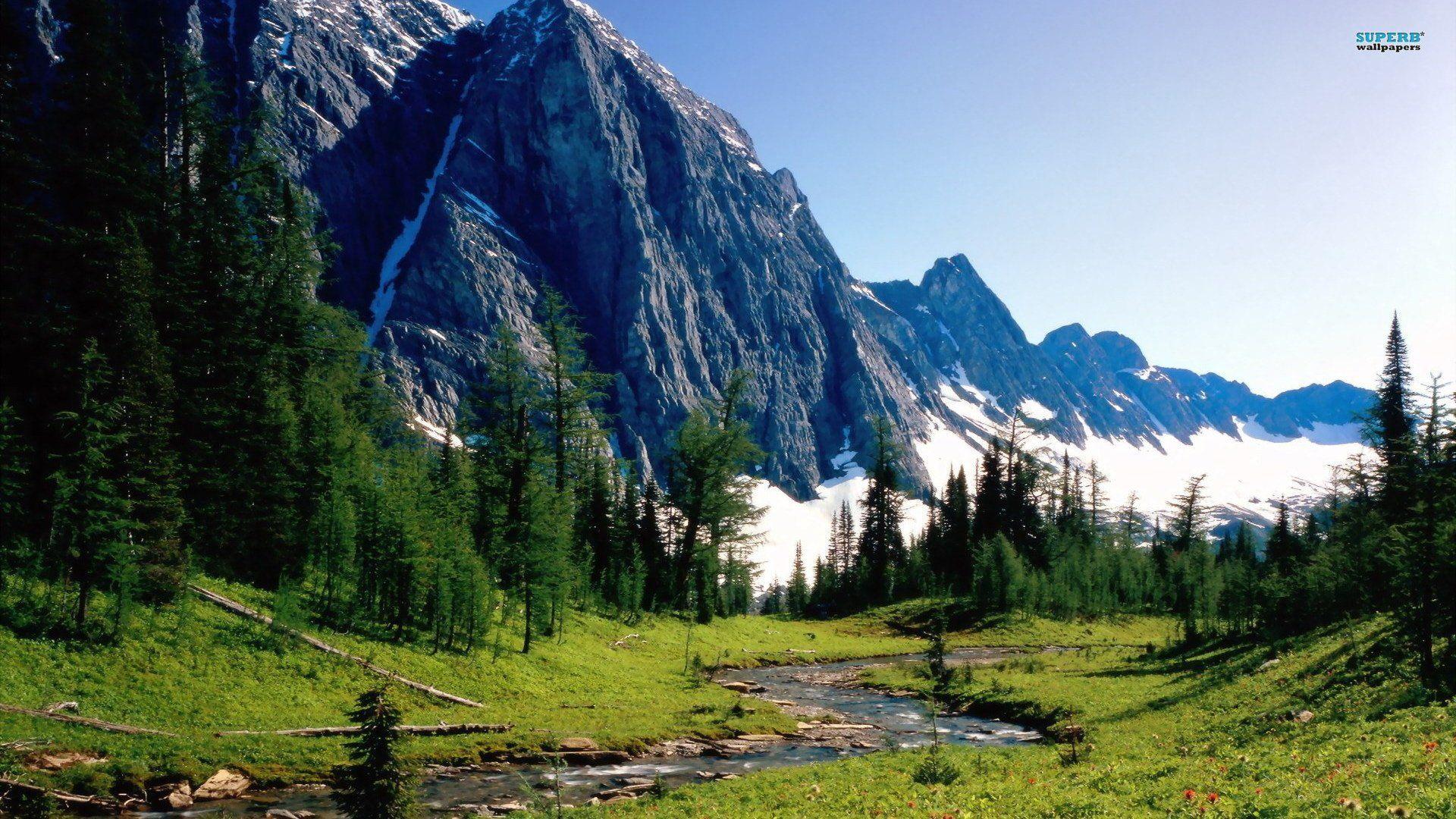 Banff National Park 249016