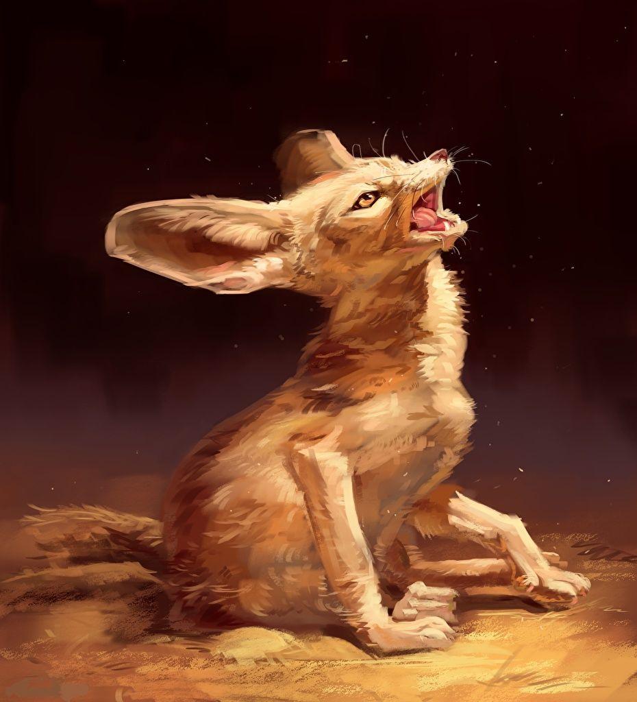 Fennec Fox Wallpapers - Wallpaper Cave