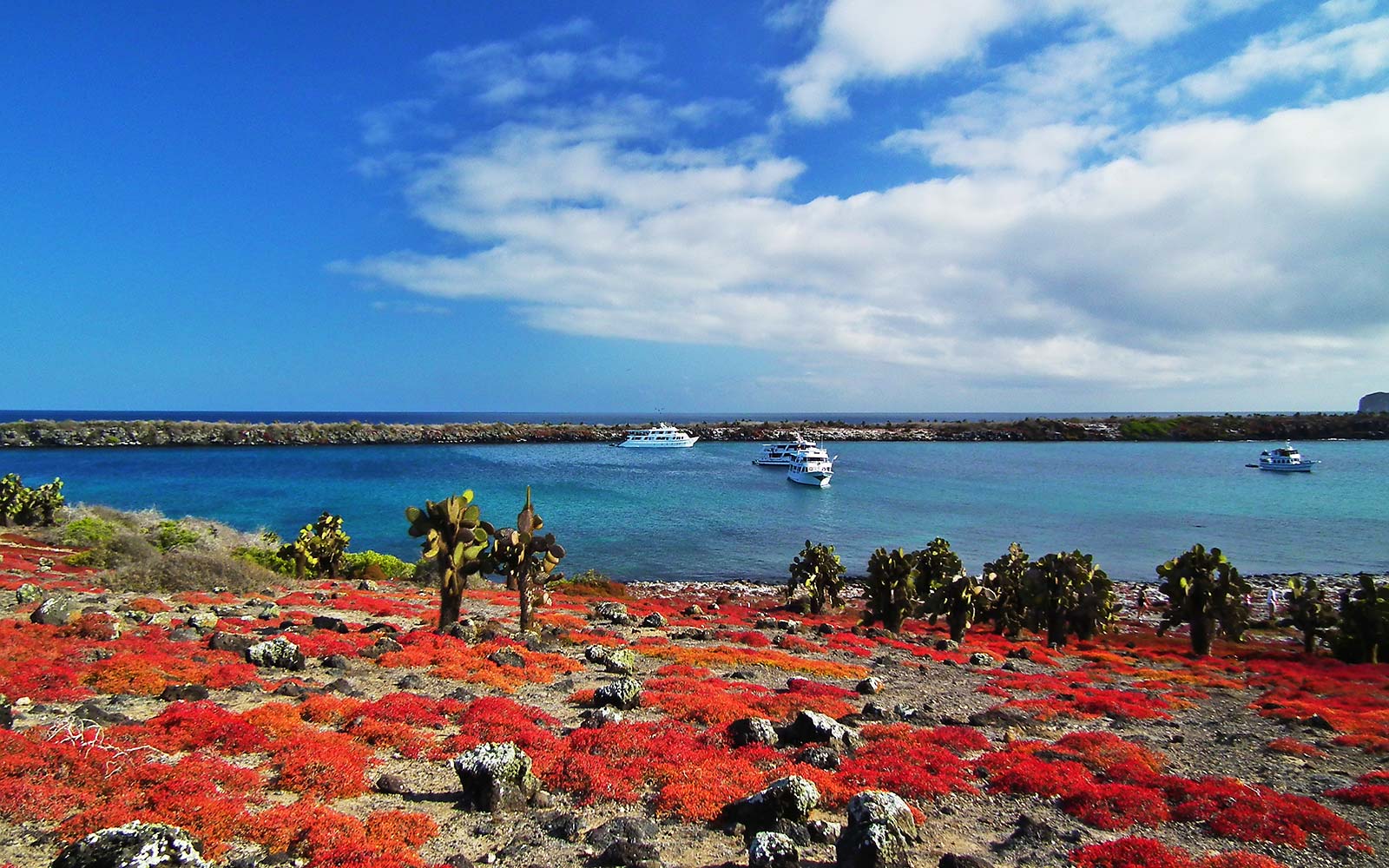 Galápagos National Park Wallpapers Wallpaper Cave 