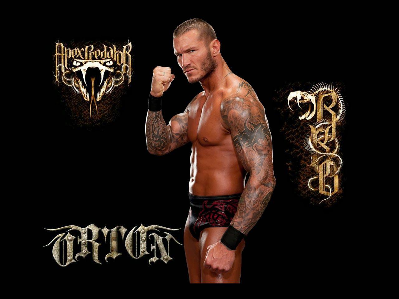 Randy Orton 2014 Wallpaper HD Wallpaper HD