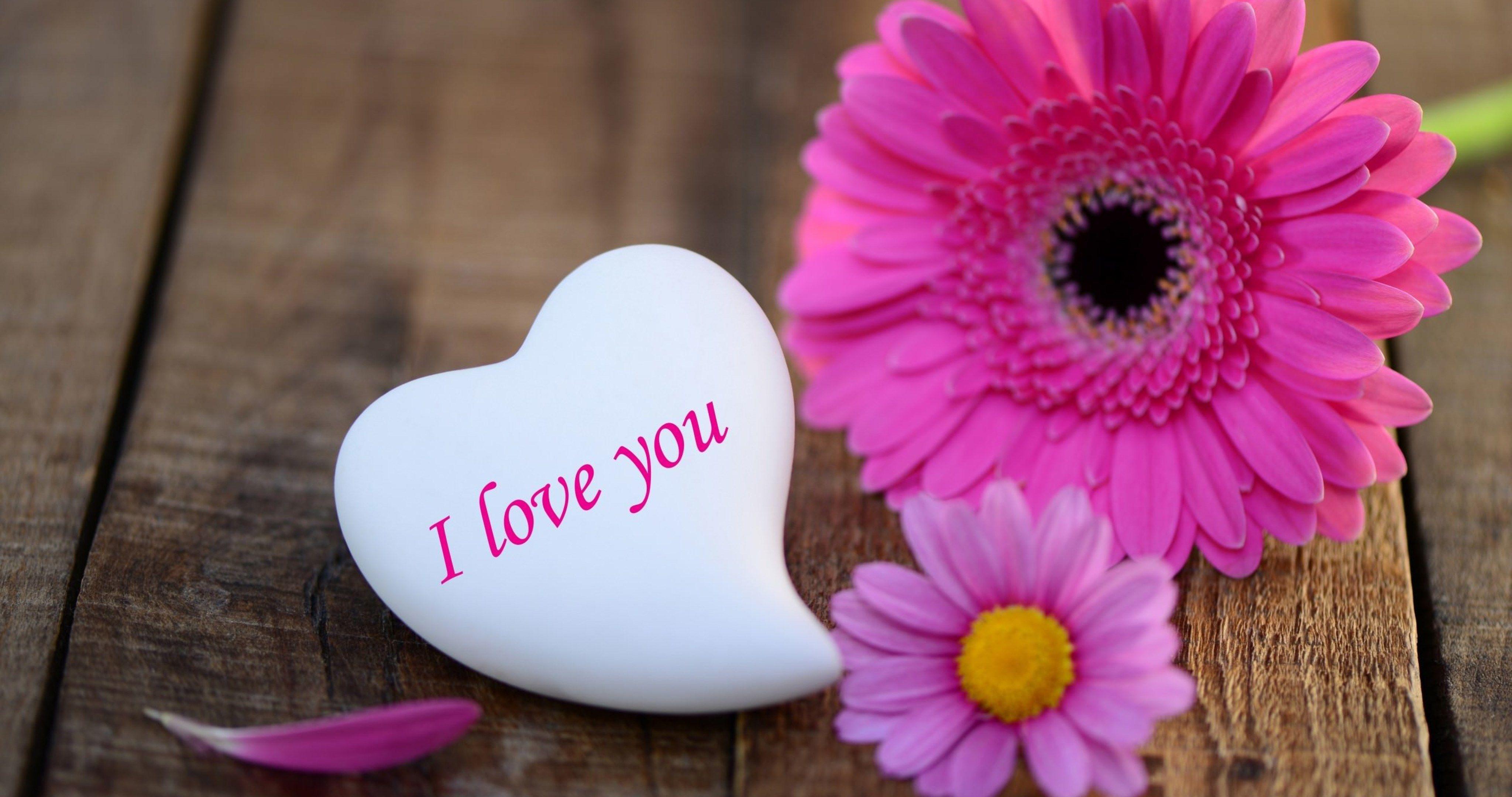 i love you wallpaper HD 4k ultra HD wallpaper. sharovarka