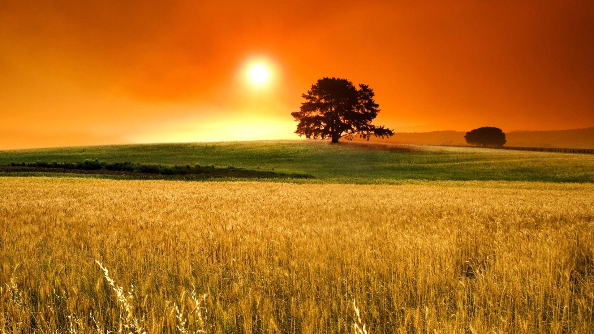 New Backgrounds Wallpapers - Wallpaper Cave