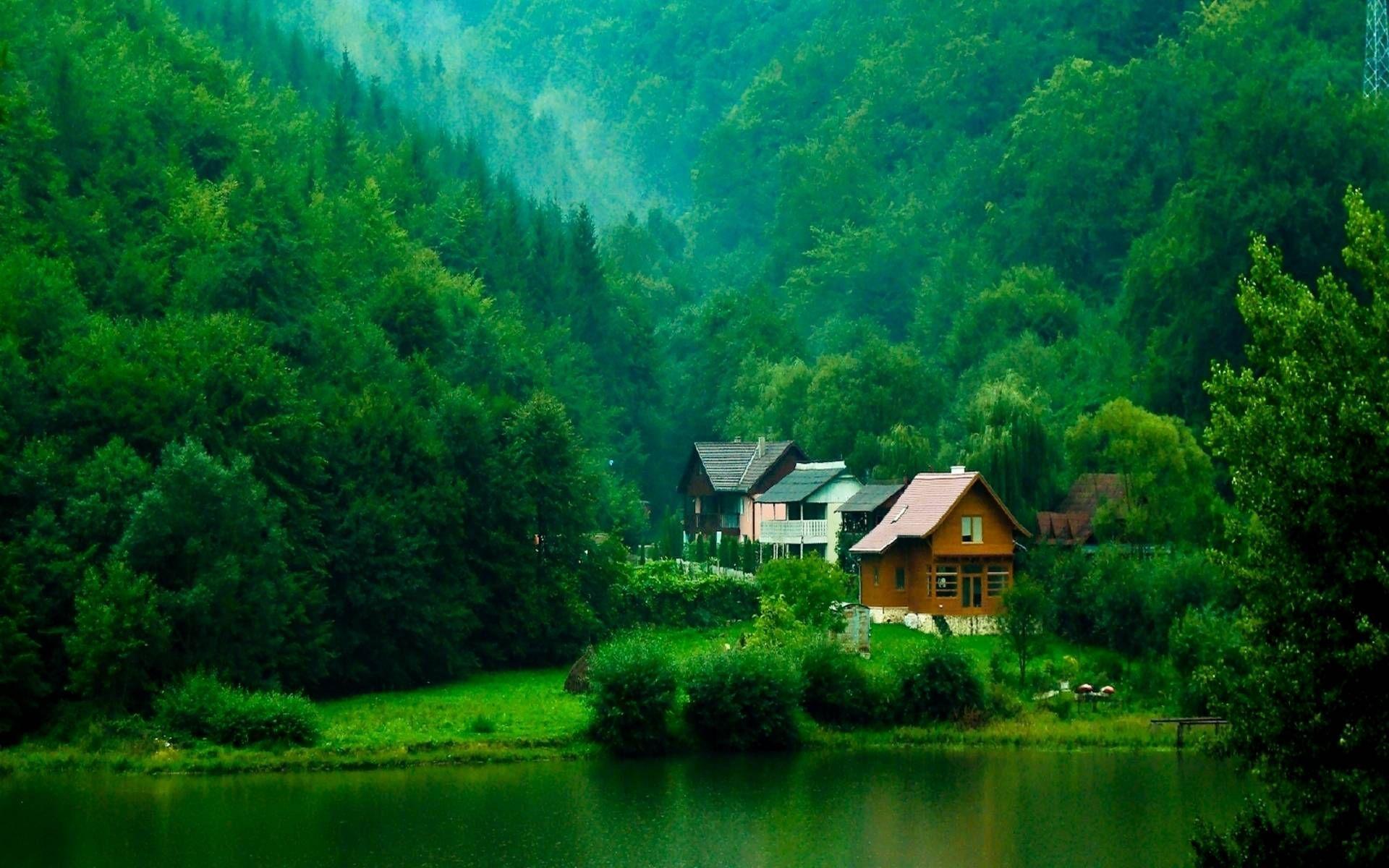 Resolution HD Nature and Picture Gallery