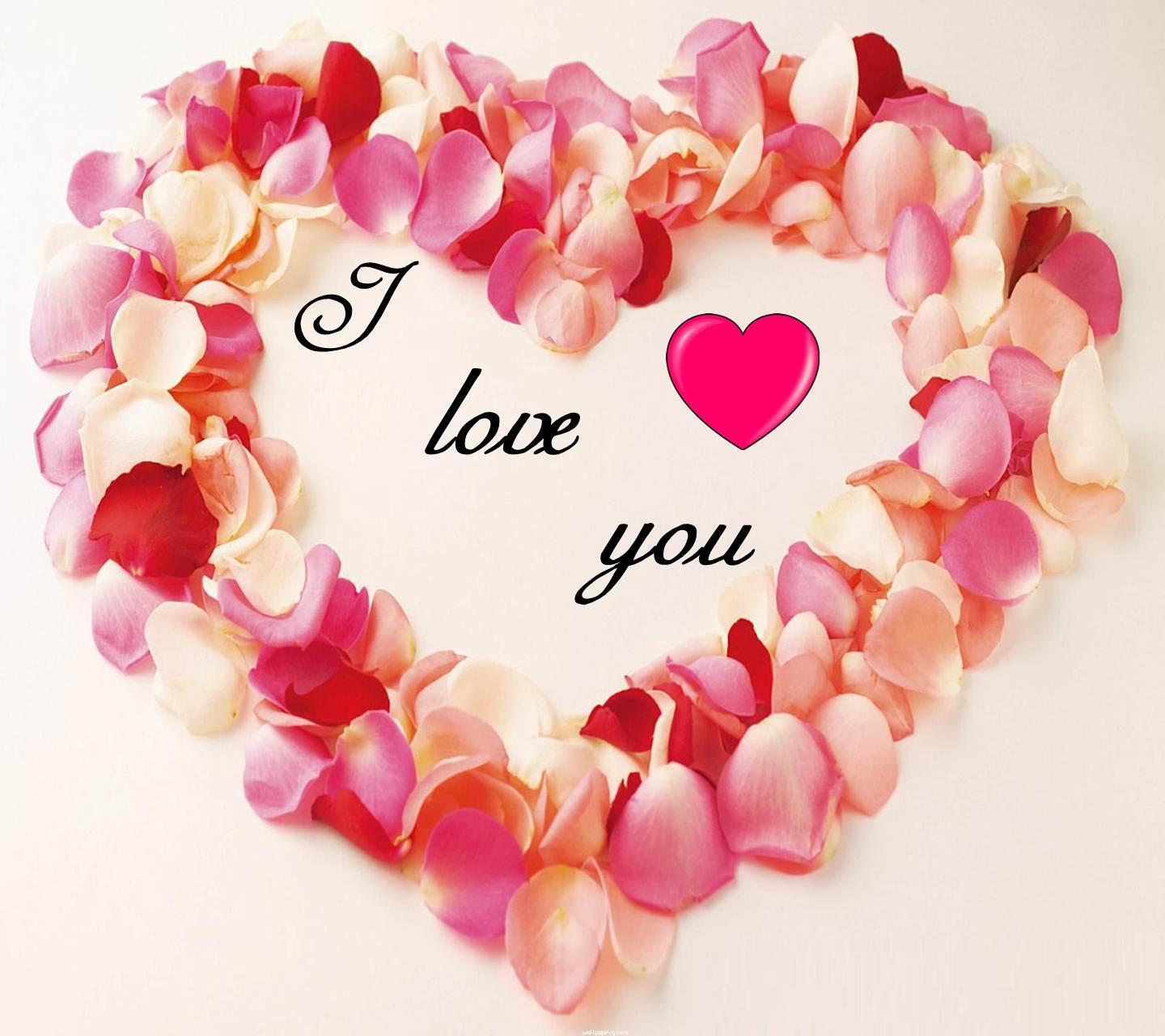 Download I love you HD wallpaper for mobile and rose HD wallpaper for your mobile cell phone