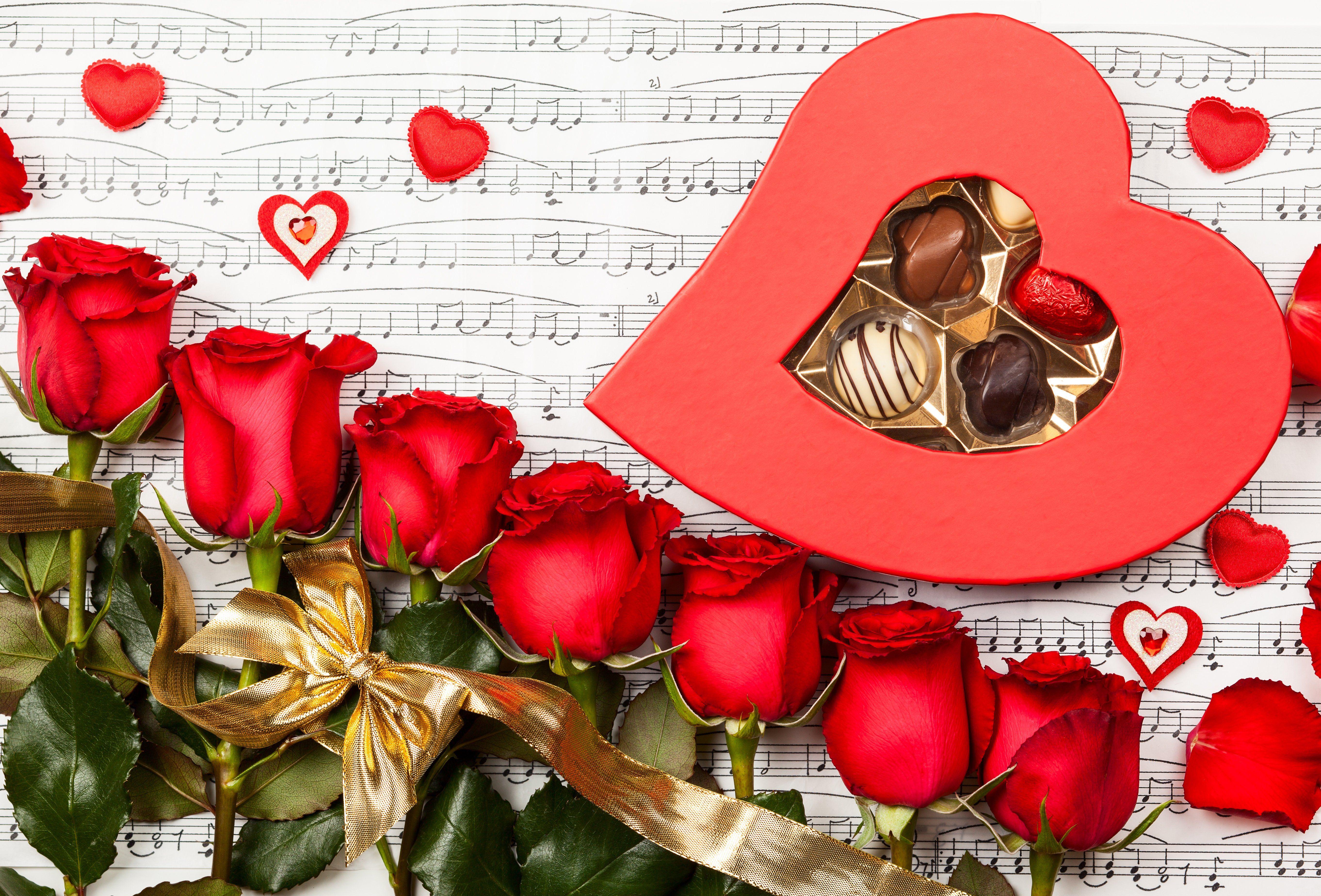 knumathise: Red Rose I Love You Wallpaper Image
