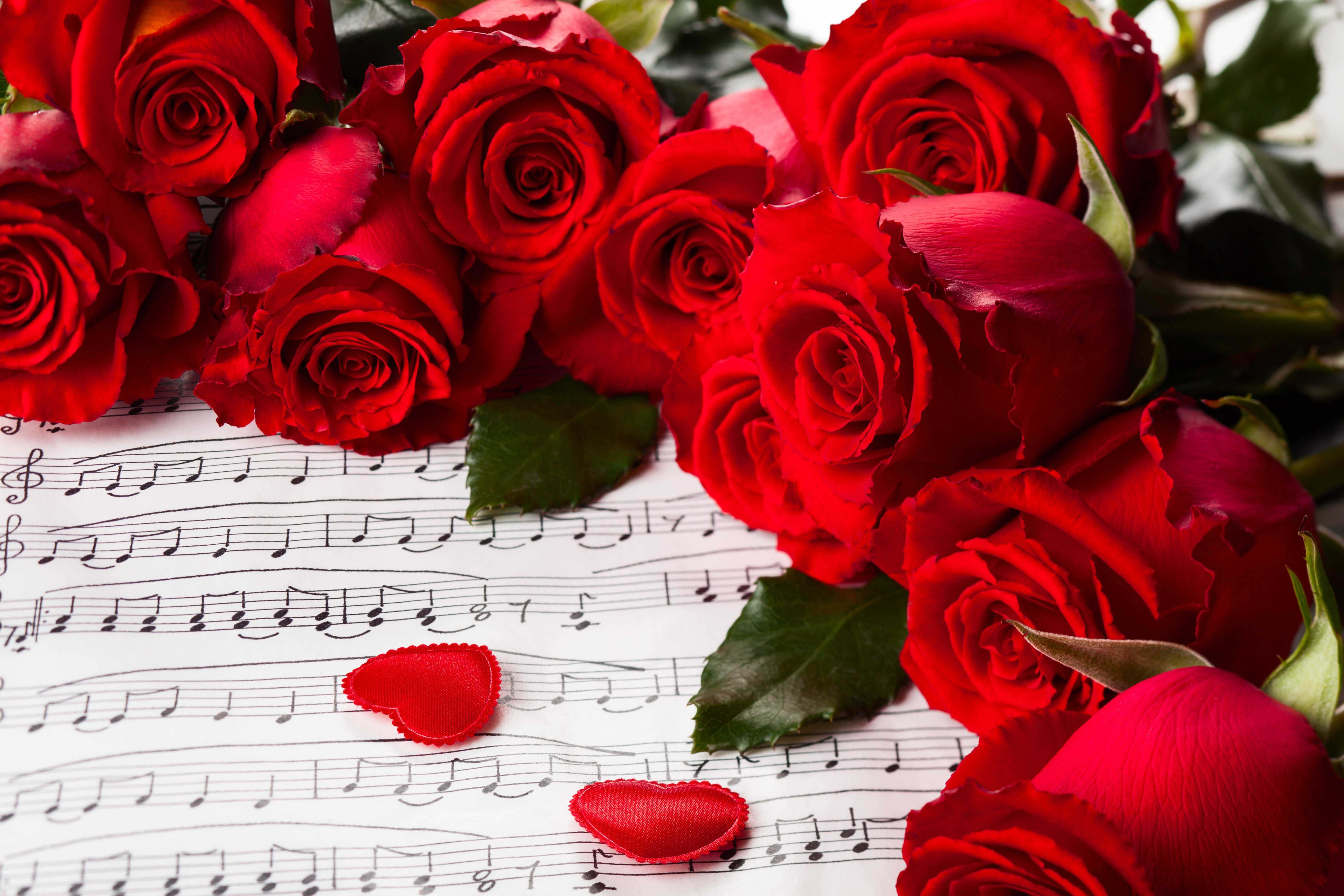 Love Roses And Hearts Wallpaper For Android Zkcl Flowers Background