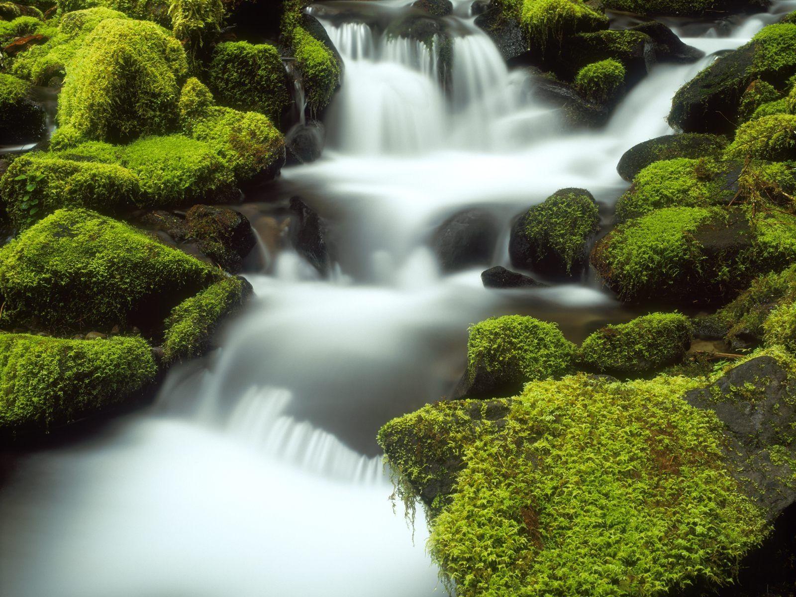 Featured image of post Wallpaper Download Hd Full Screen Wallpaper Hd Nature / Landscape of green white covered mountains and river between grass covered slope and colorful flowers field hd nature.