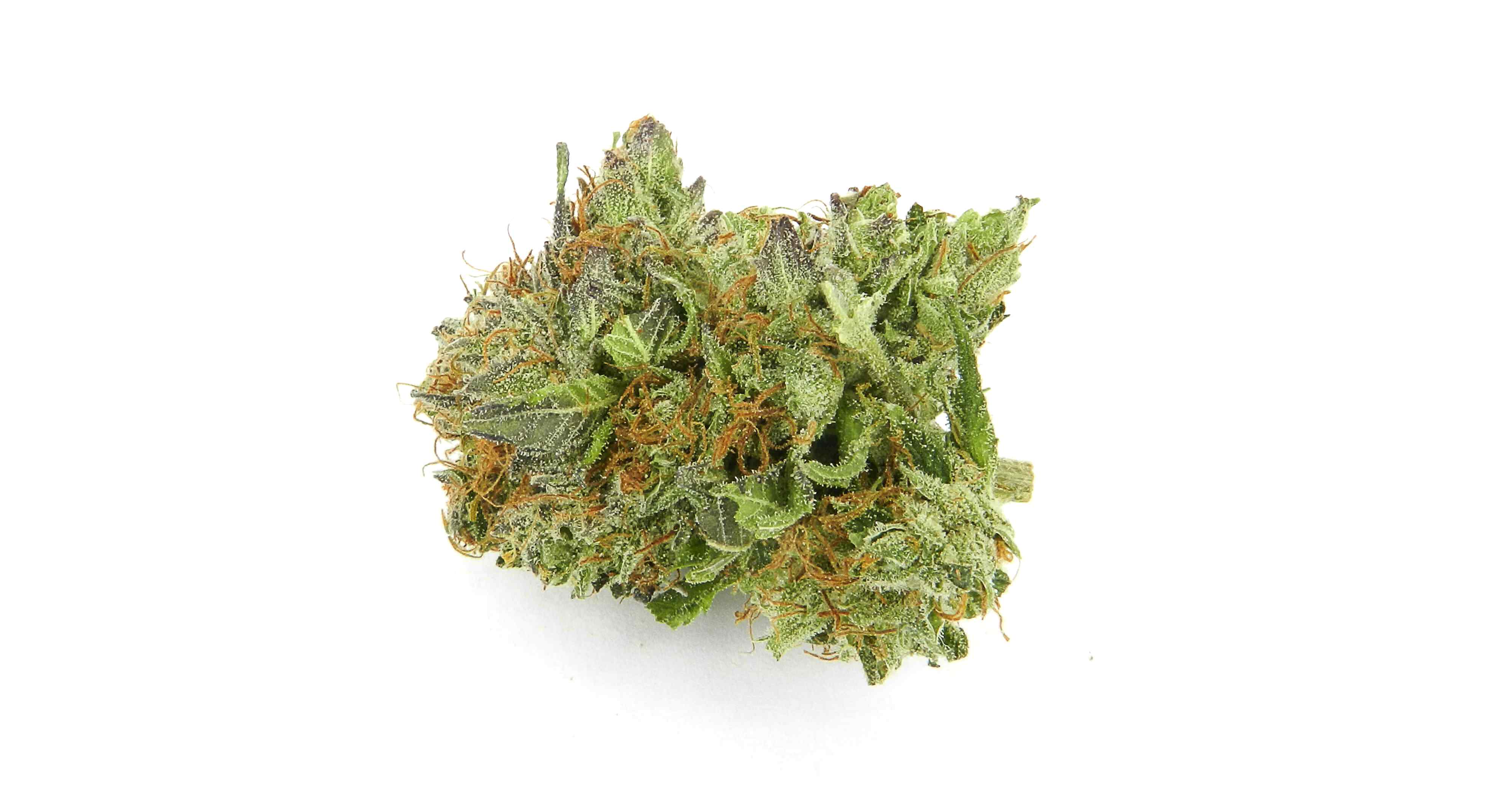 san diego. Swami's Medical Marijuana Dispensary