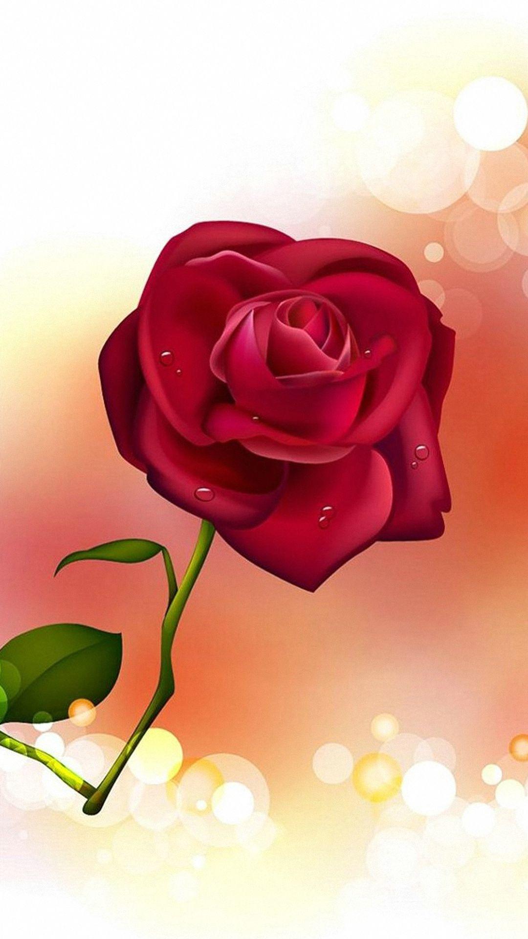 HD Rose Wallpaper For Mobile. Rose flower