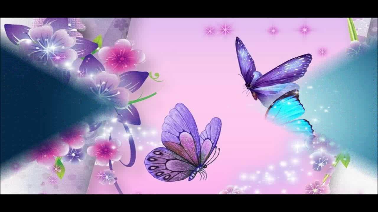 Beautiful Butterfly Wallpaper HD Picture