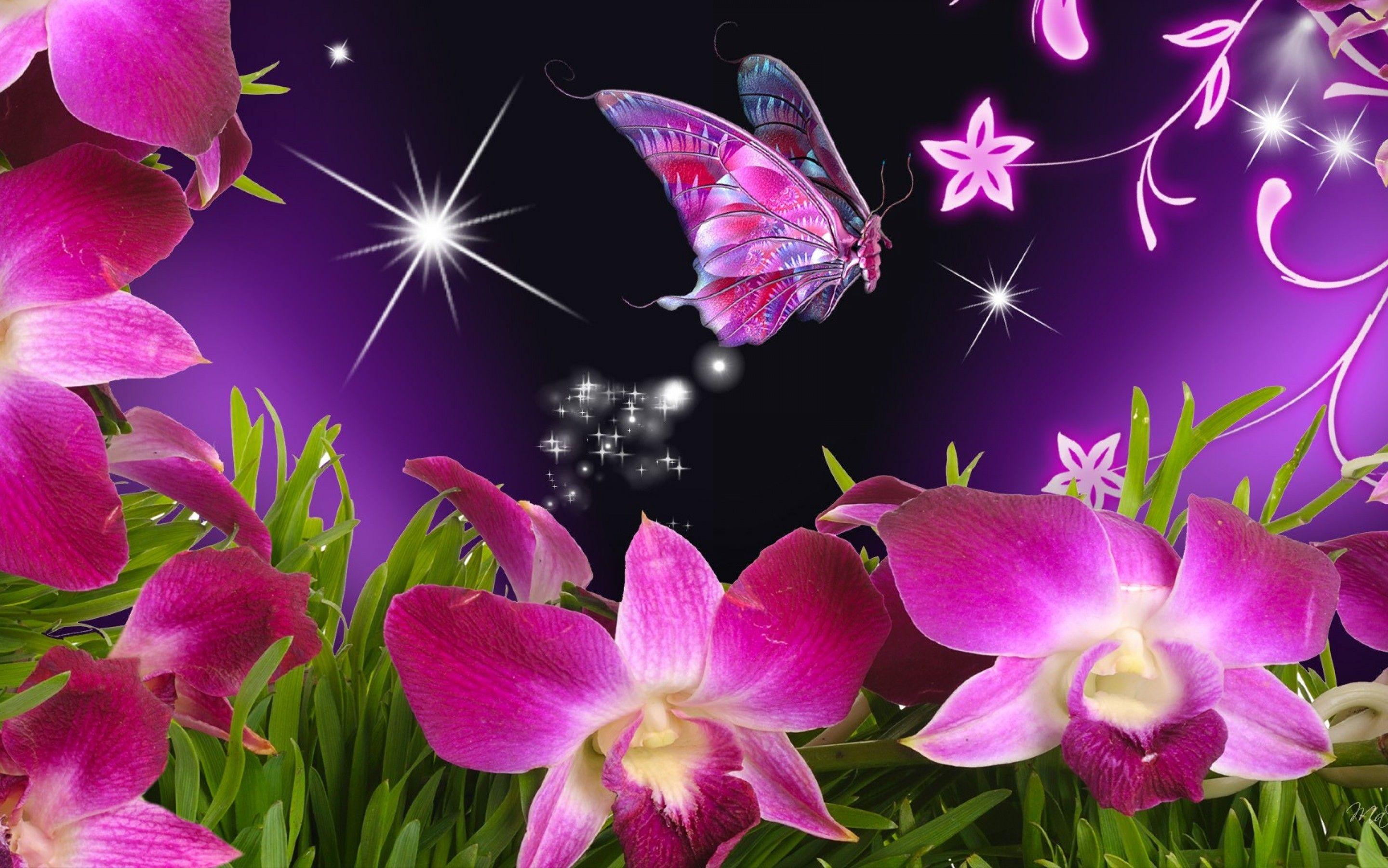 Natural 3D Image for Wallpaper with Butterfly and Flowers 1680×1050