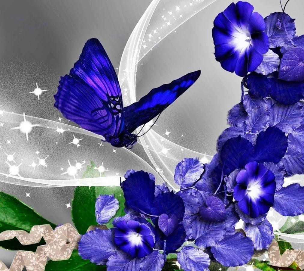 Butterfly Most Beautiful Flowers Wallpapers Hd