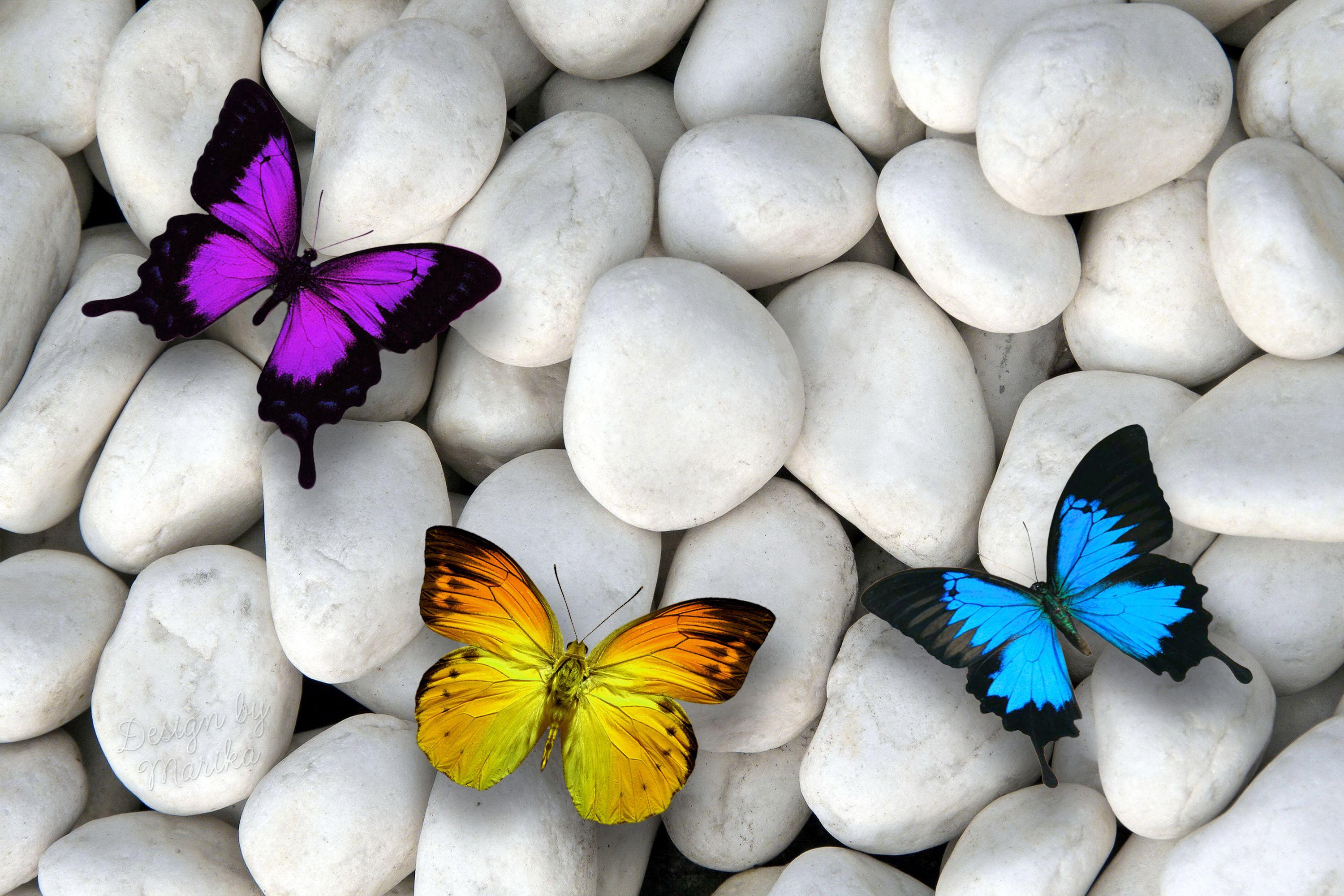 Wallpapers Colorful, Butterflies, White stones, HD, Animals,