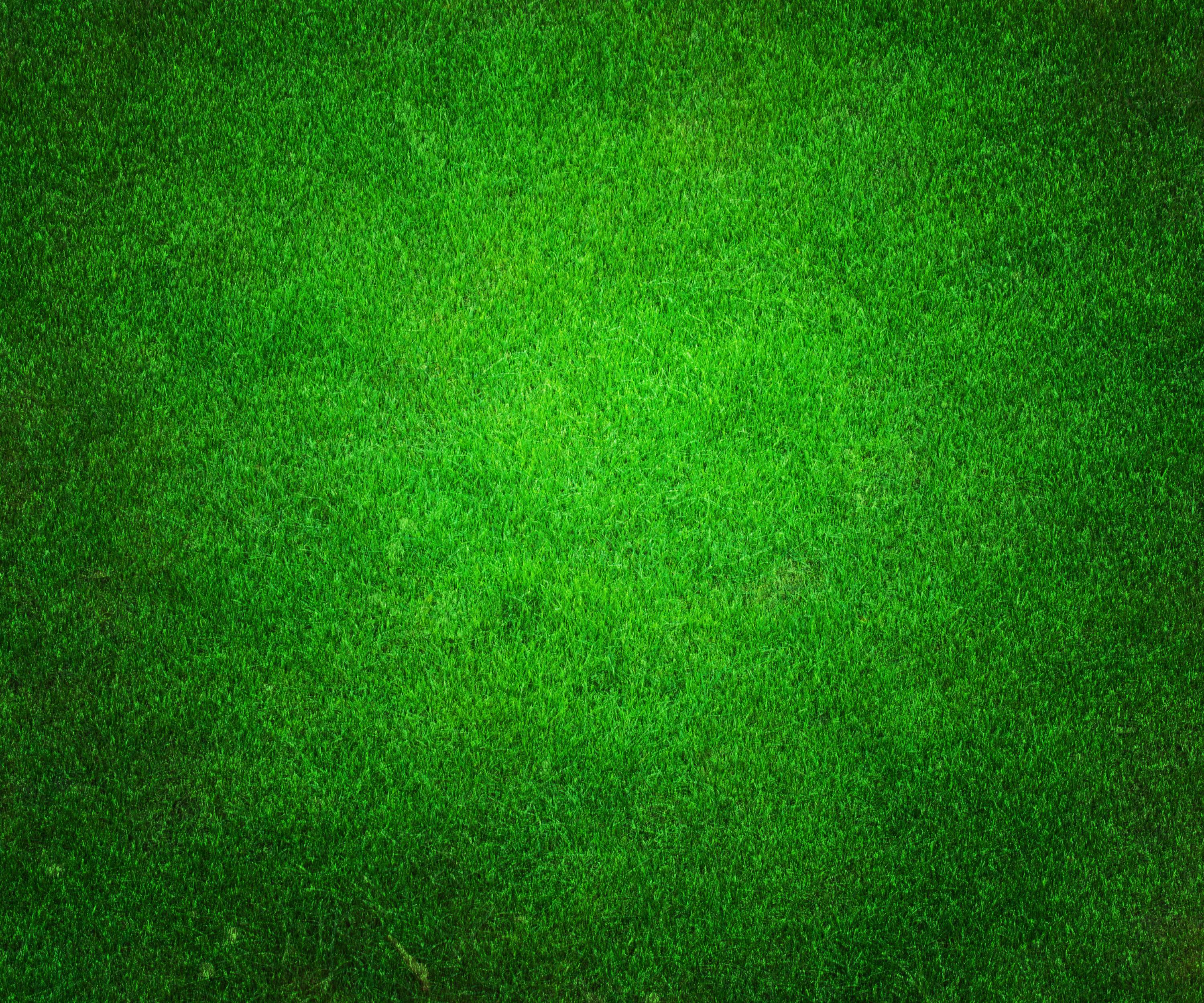 Download Green Background 4DD