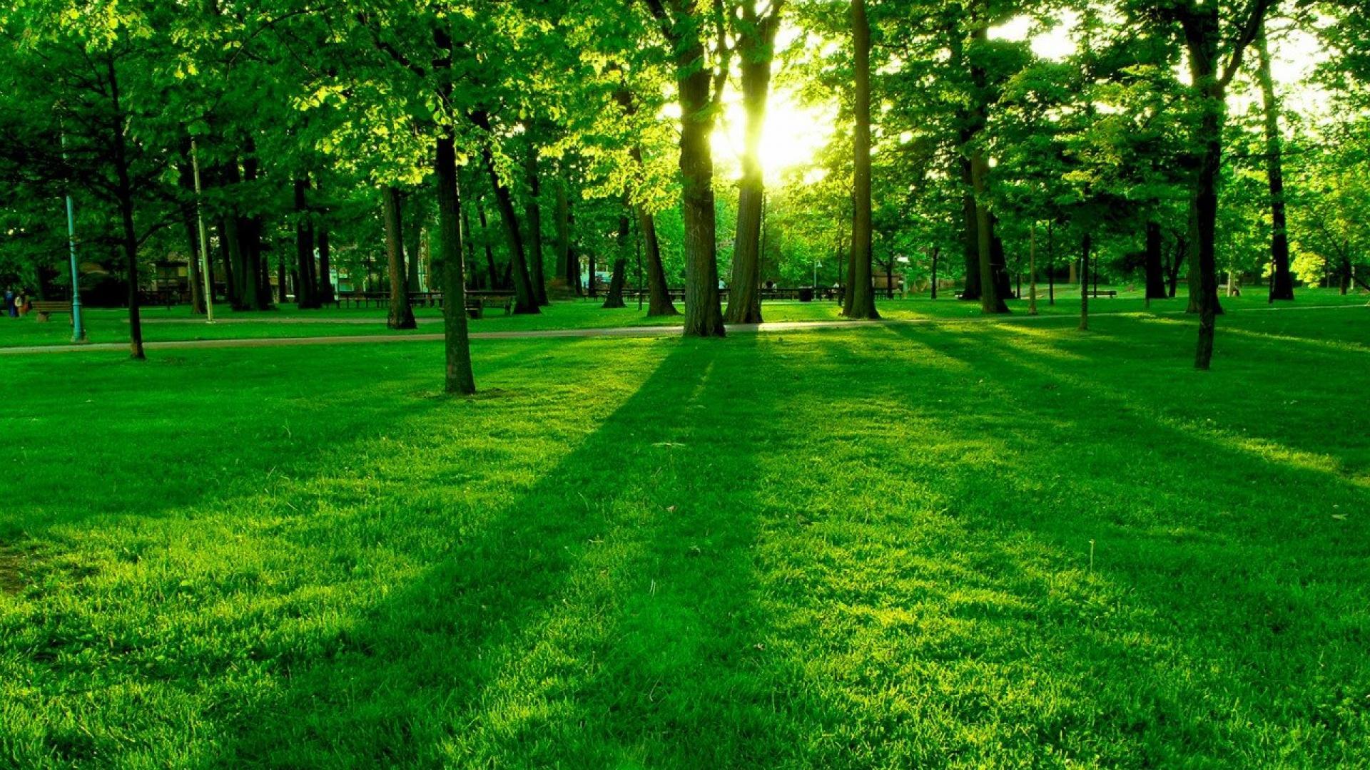 hd nature wallpapers 1920x1080